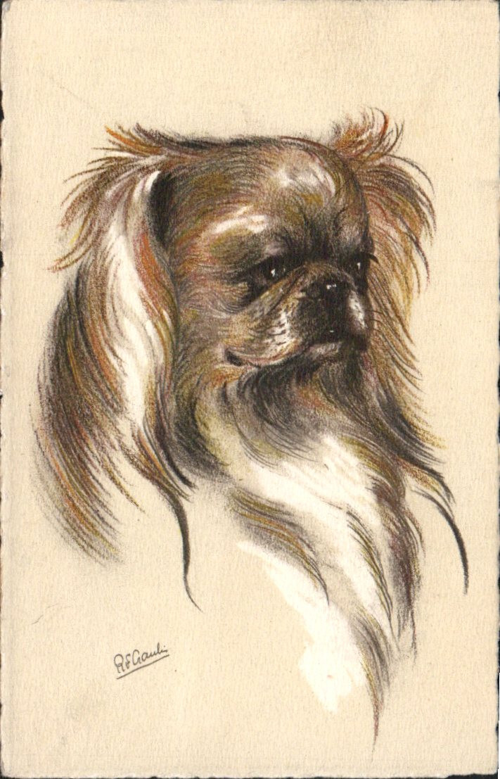 VTG 1930s ART PC PEKINGNESE DOG A/S R F GAULIN SWISS STEHLI EDITION