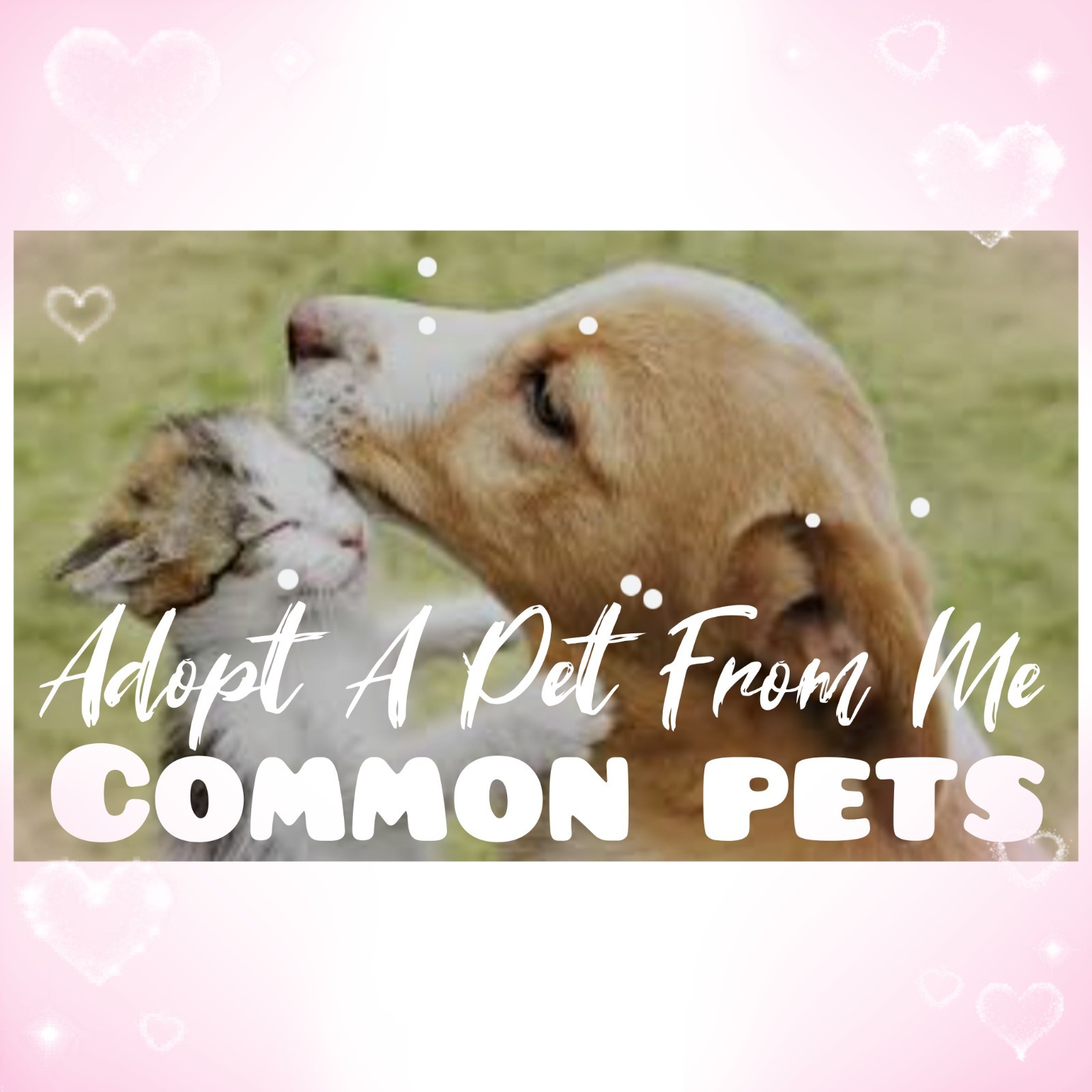 🌸 AĐ0PT (All Stuff FRM M3) Today 🌸 🌟Common🌟 🖤 FR 💜 F 💚 R 🩵 NP 💖