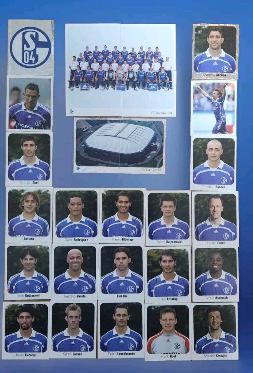 #402 Panini Bundesliga Stickers 2006 /2007 FC SCHALKE 04 Complete Set 27 Pieces