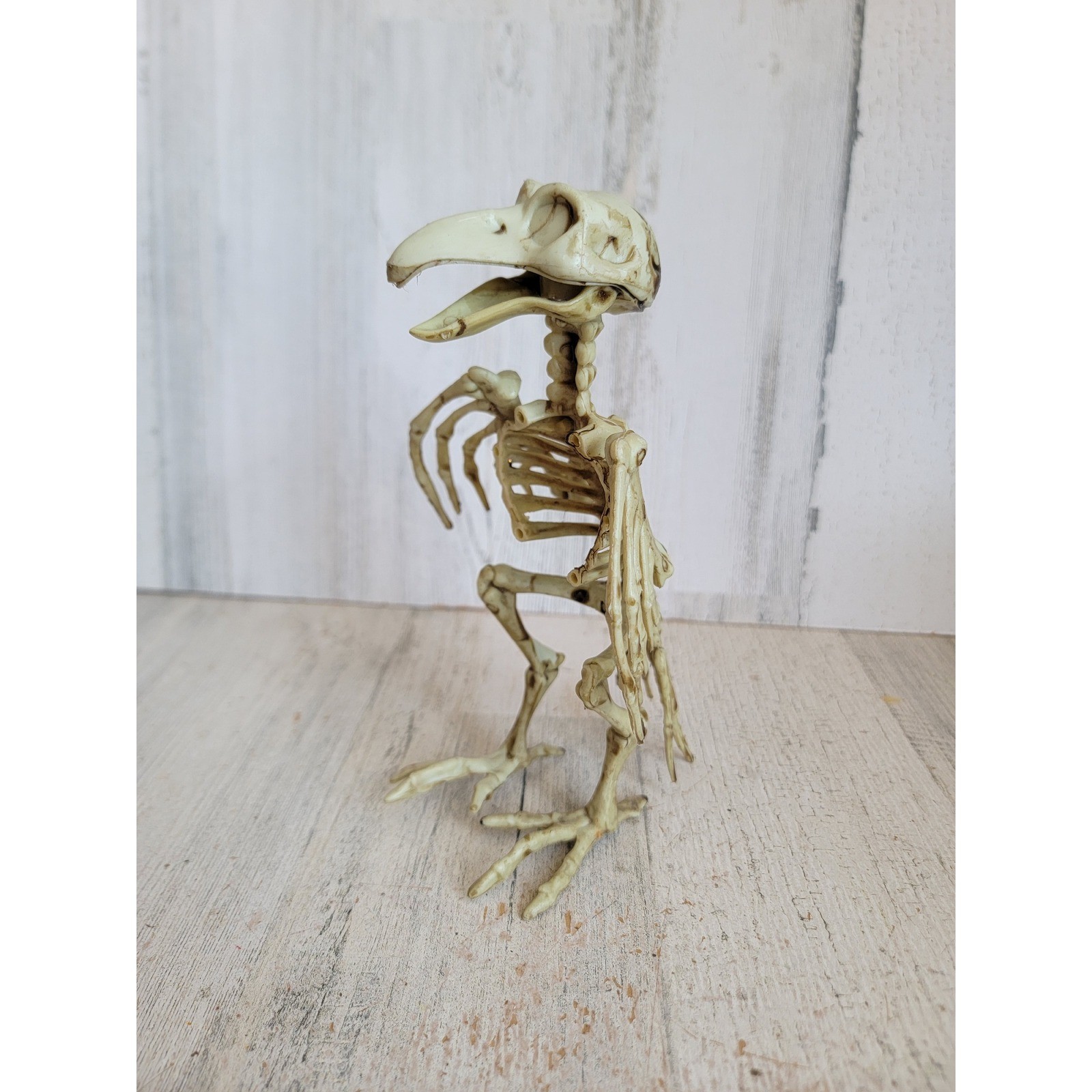 Halloween mini bird skeleton parrot prop unique home decor dead figure