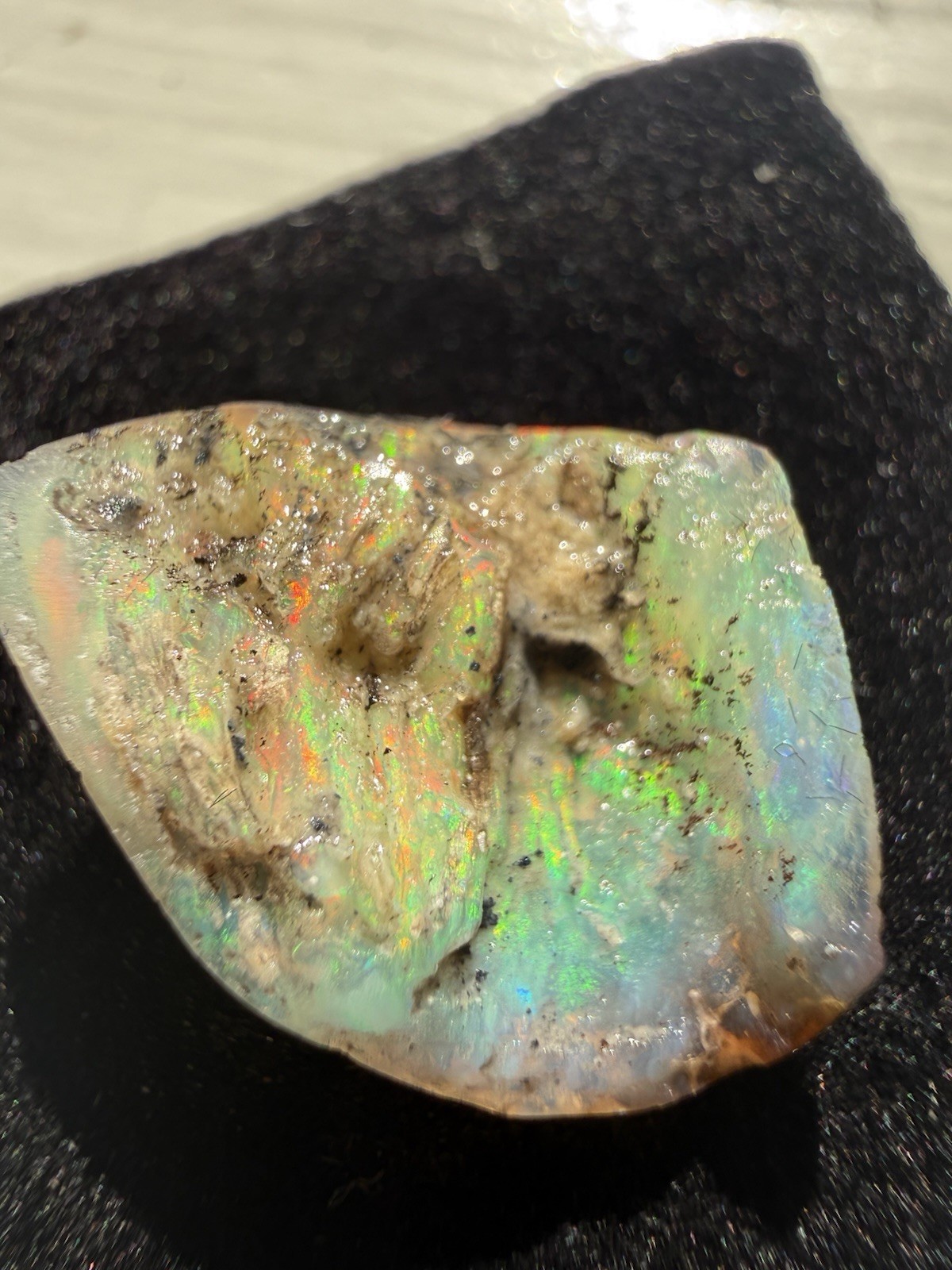 Virgin valley Rough Opal Specimen Uncut full spectrum of Color
