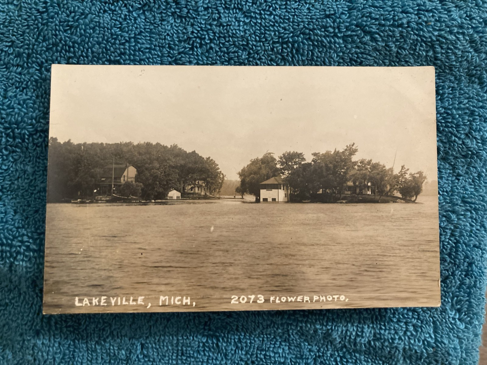 RPPC Lakeville Michigan Cottage Island Unposted Flower Photo c1910