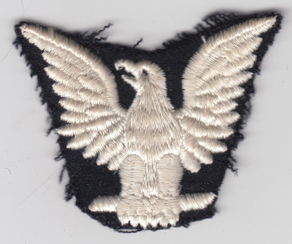 WW2 era US Navy Trade Specialty Qualification Eagle Patch Rate Insignia Naval