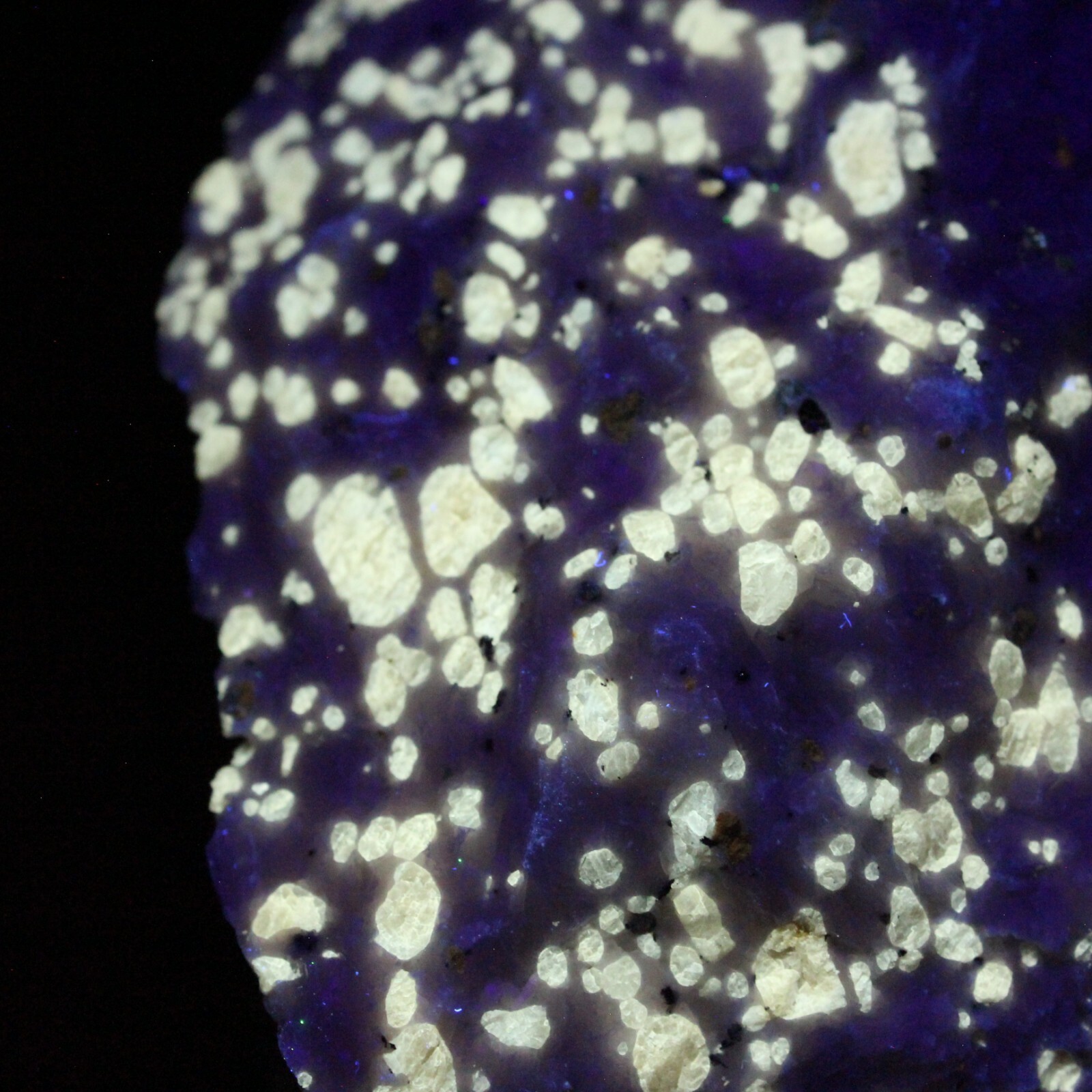 VERY RARE FLUORESCENT FLUOBORITE FROM RUDEVILLE N.J. NICE DISPLAY PC. #3091 W