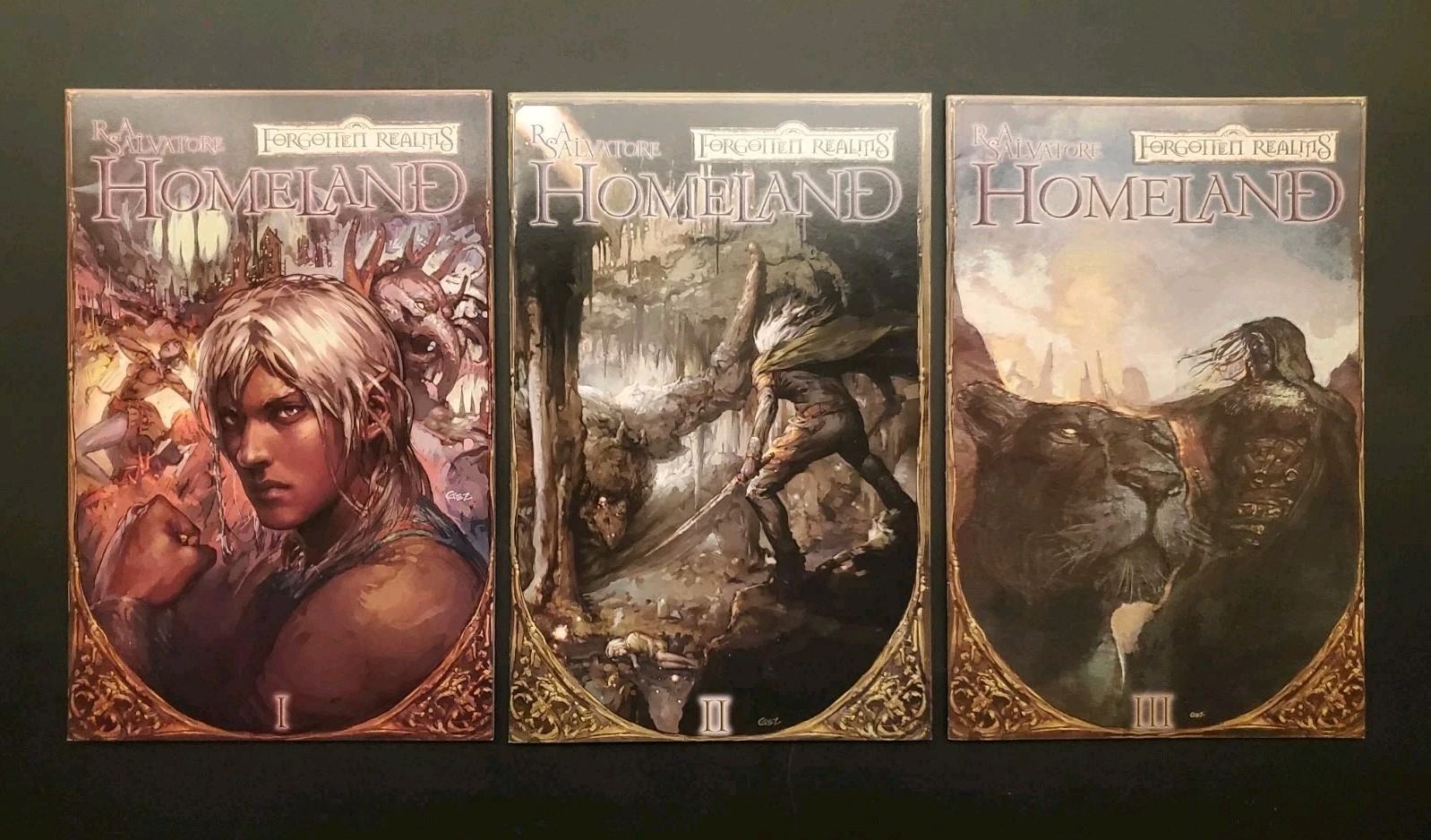 Homeland #1-3 DDP Comics R.A. Salvatore Forgotten Realms B Variants 1st Drizzt 