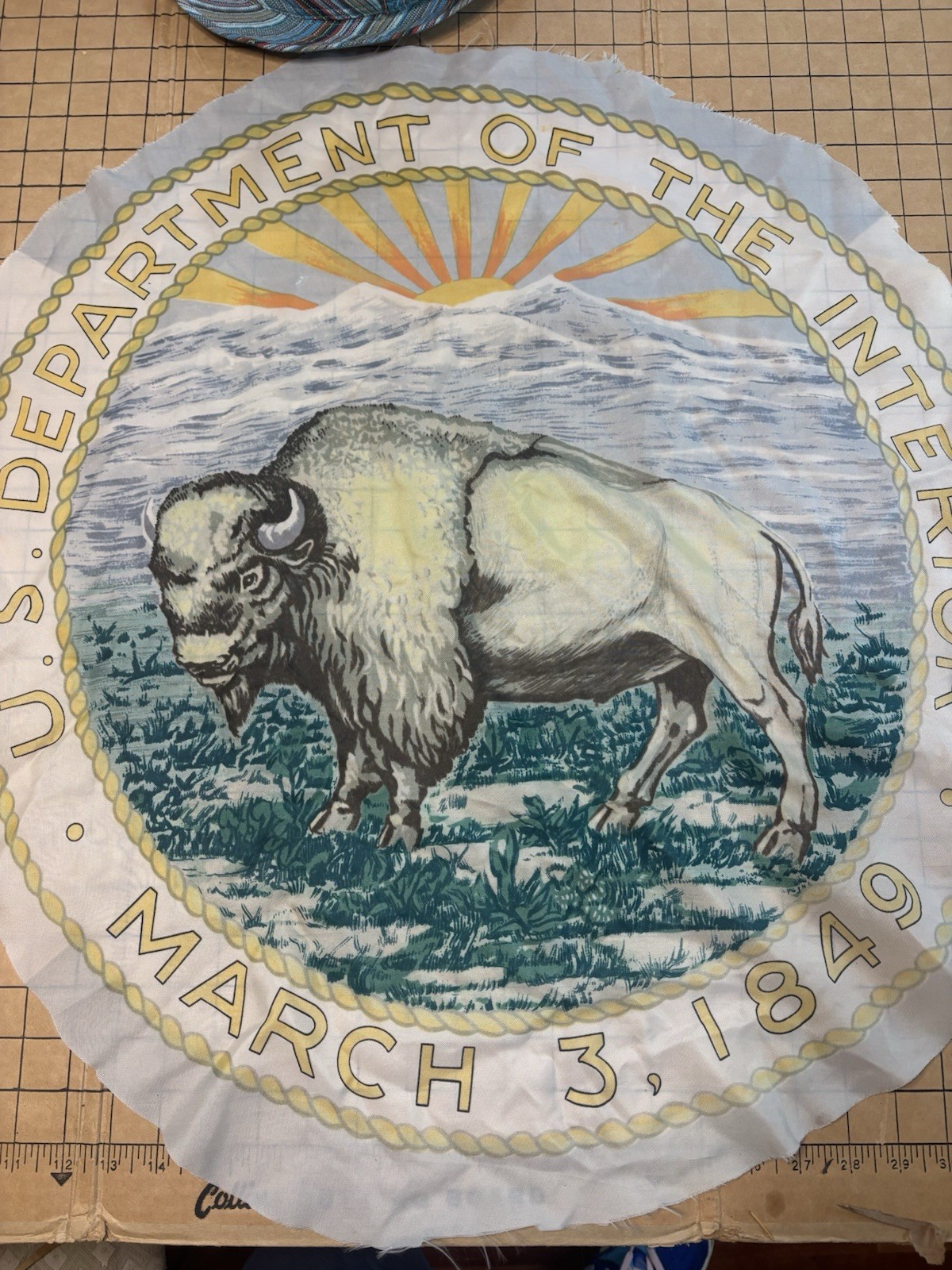 Vintage US Dept Interior Bison Seal Flag Panel 26” DOI March 3 1849 Large