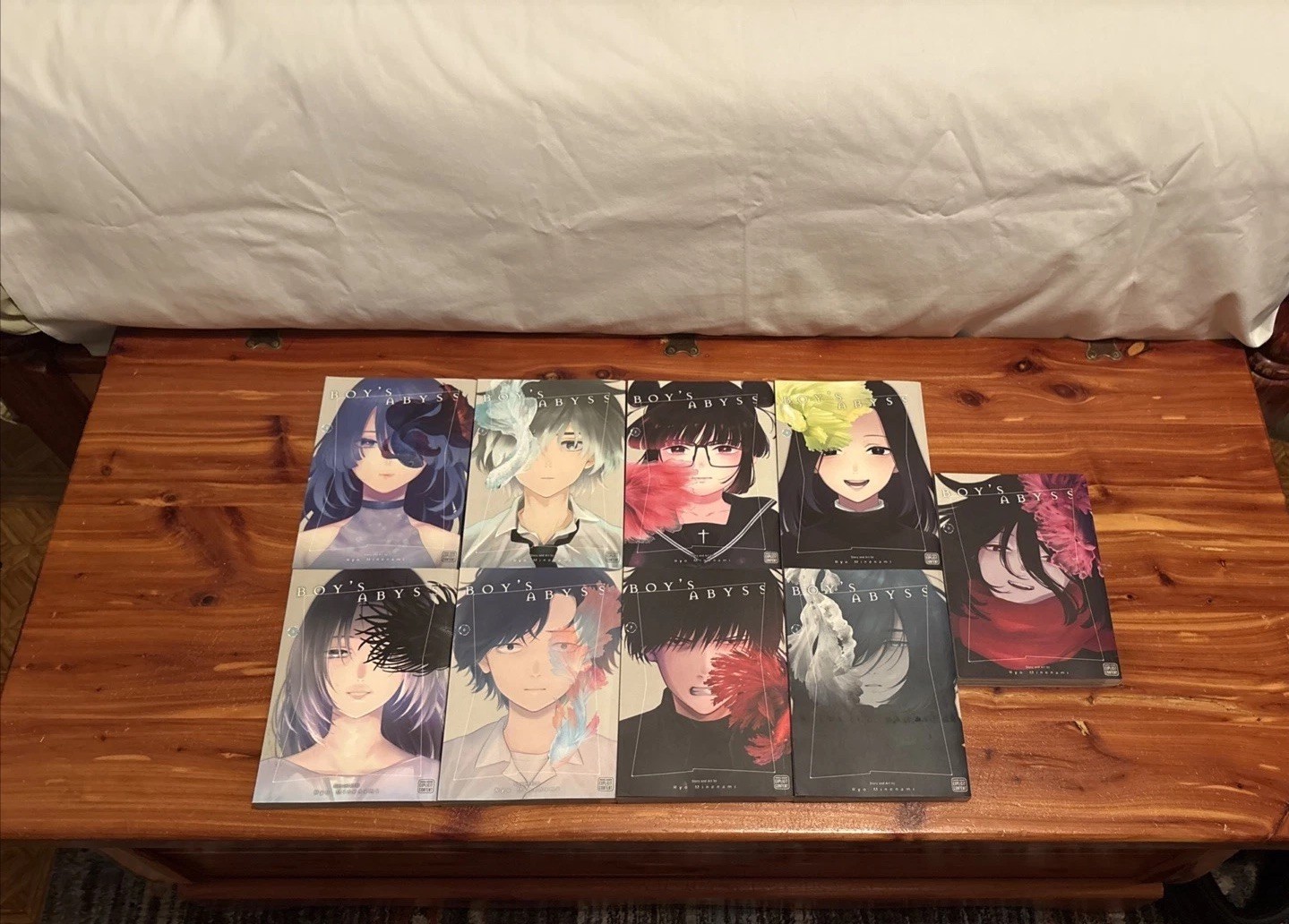 Boy’s Abyss Volumes 1-9 English Manga