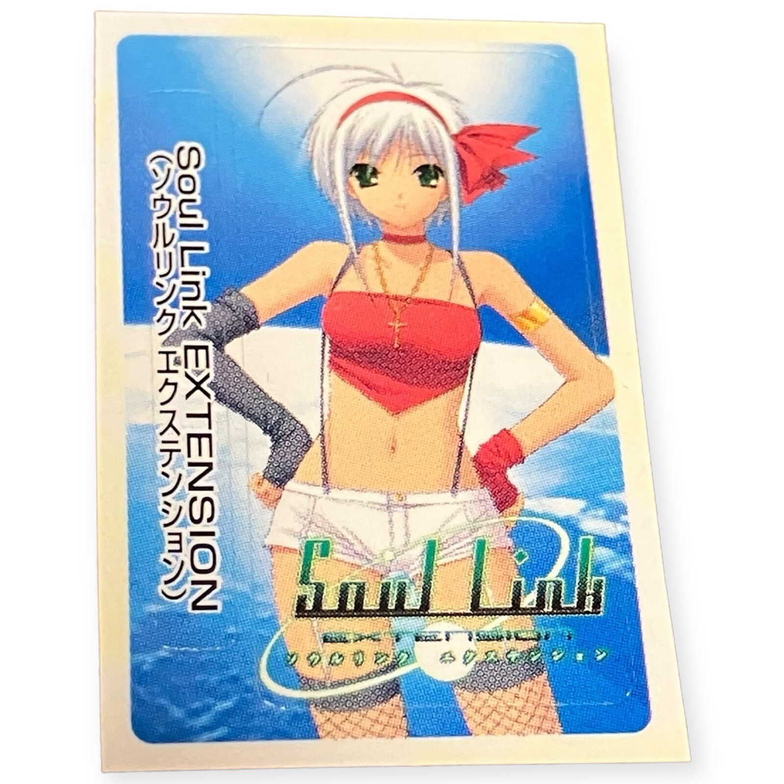 Sony PlayStation 2 PS2 Soul Link: Extension 2006 Official Memory Card Sticker