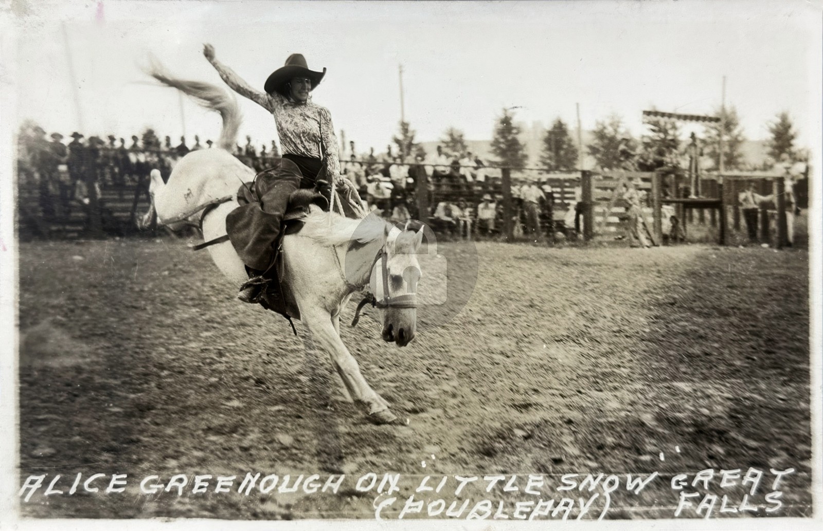 1940s Cowgirl Alice Greenough Bronco Great Falls Rodeo RPPC Photo Postcard COPY