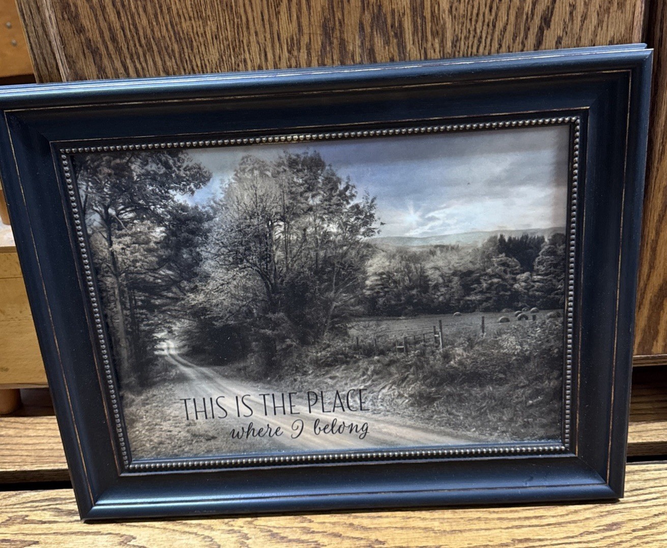 This Is Where I Belong Framed Picture