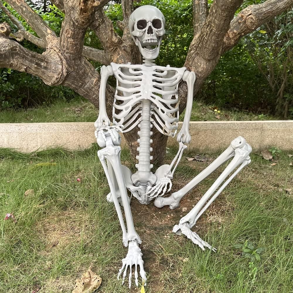 5.4ft Halloween Skeleton Full Body Life Size Skeleton Bones with Movable Joints