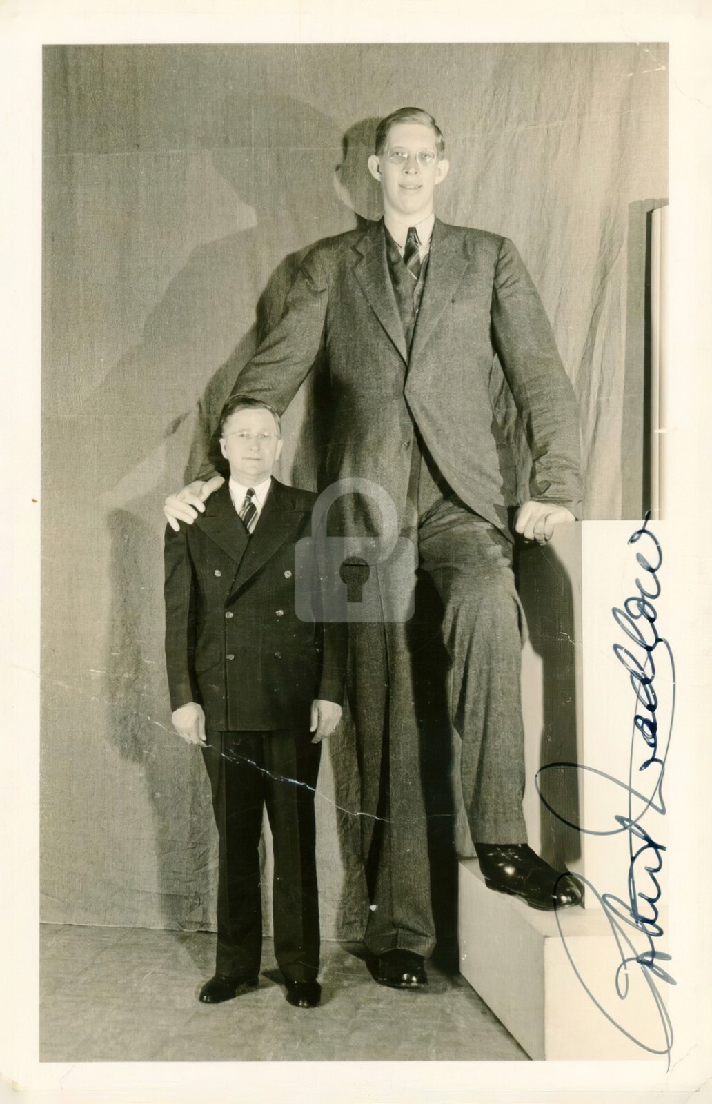 Robert Wadlow (Worlds Tallest Man) -- Signed Vintage Photo Postcard Copy