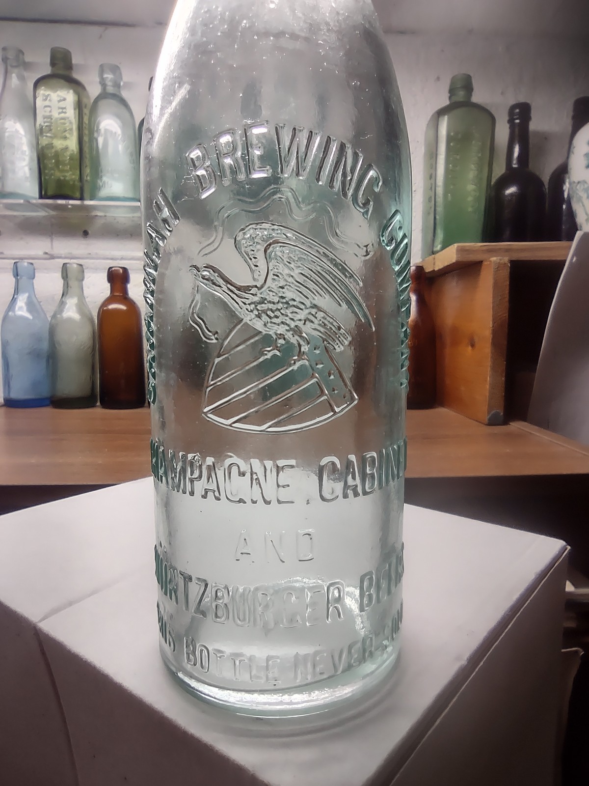 Savannah Brewing Co Eagle Shield Monogram Champagne Cabinet Georgia Beer Bottle 