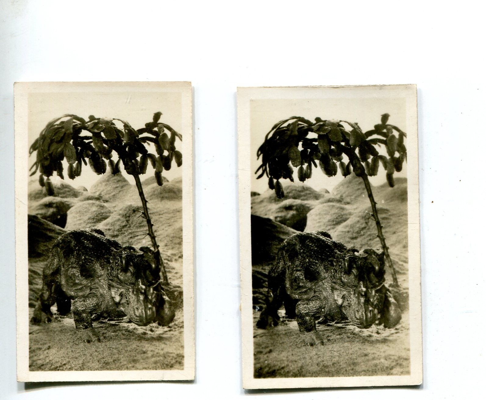 1930 CAVANDERS LTD. PEEPS INTO PREHISTORIC TIMES TOBACCO CARD #10 APERTUS R&L