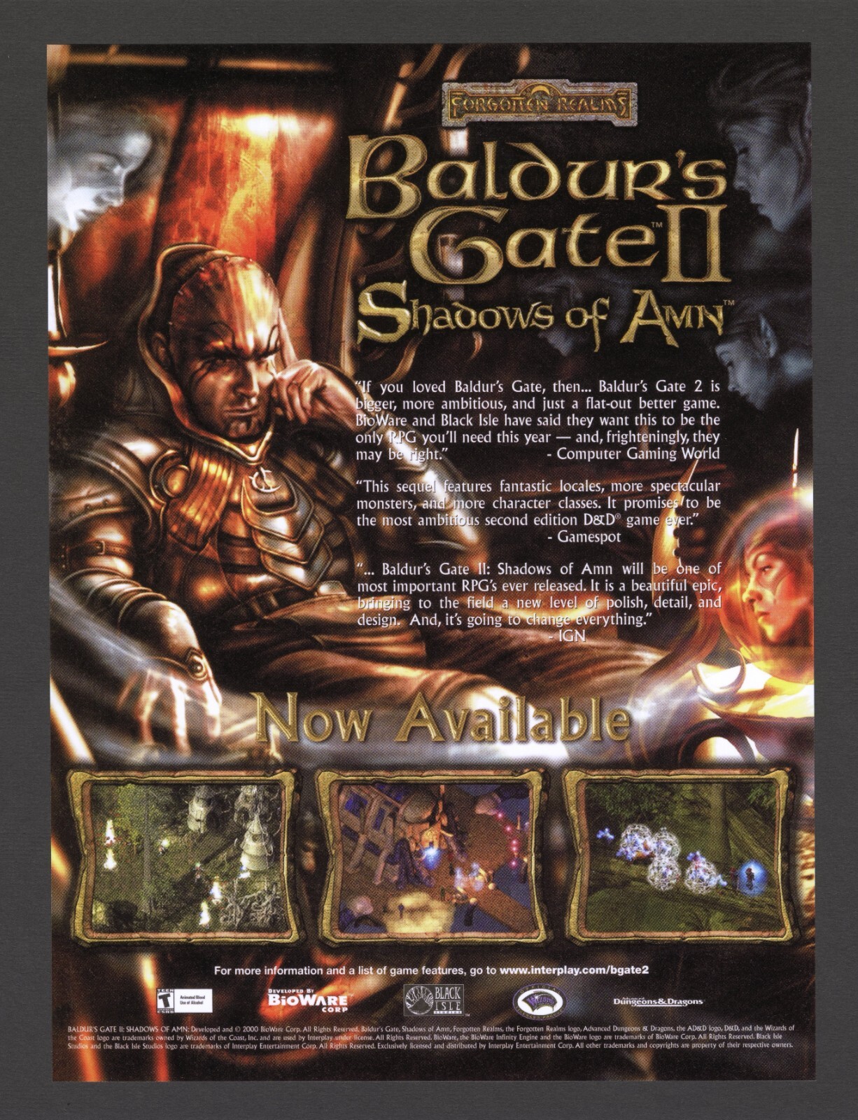 Baldur\'s Gate II 2 Shadows of Amn PC Game 2000 Vintage Promo Ad Art Print Poster