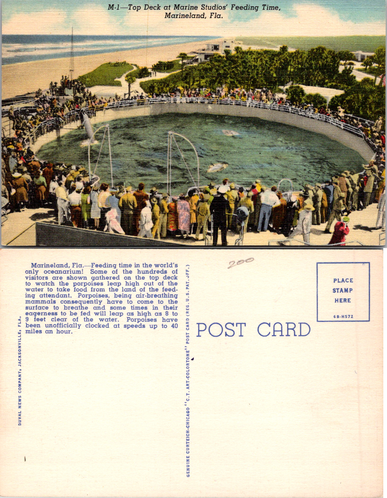 Old Vintage Postcard