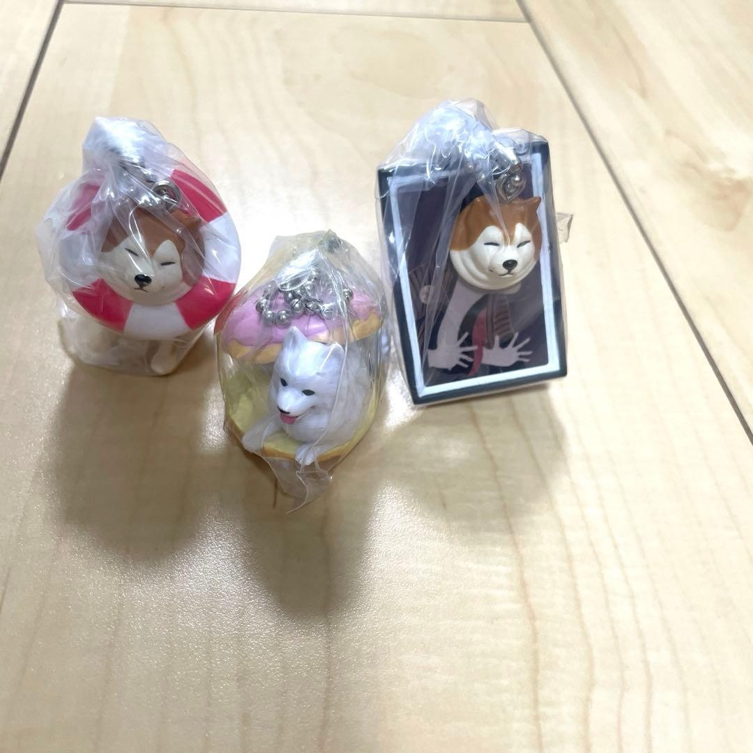 Dog Gachapon Mascot Keychain Set 3 Types Dog Breed Shiba Inu Husky