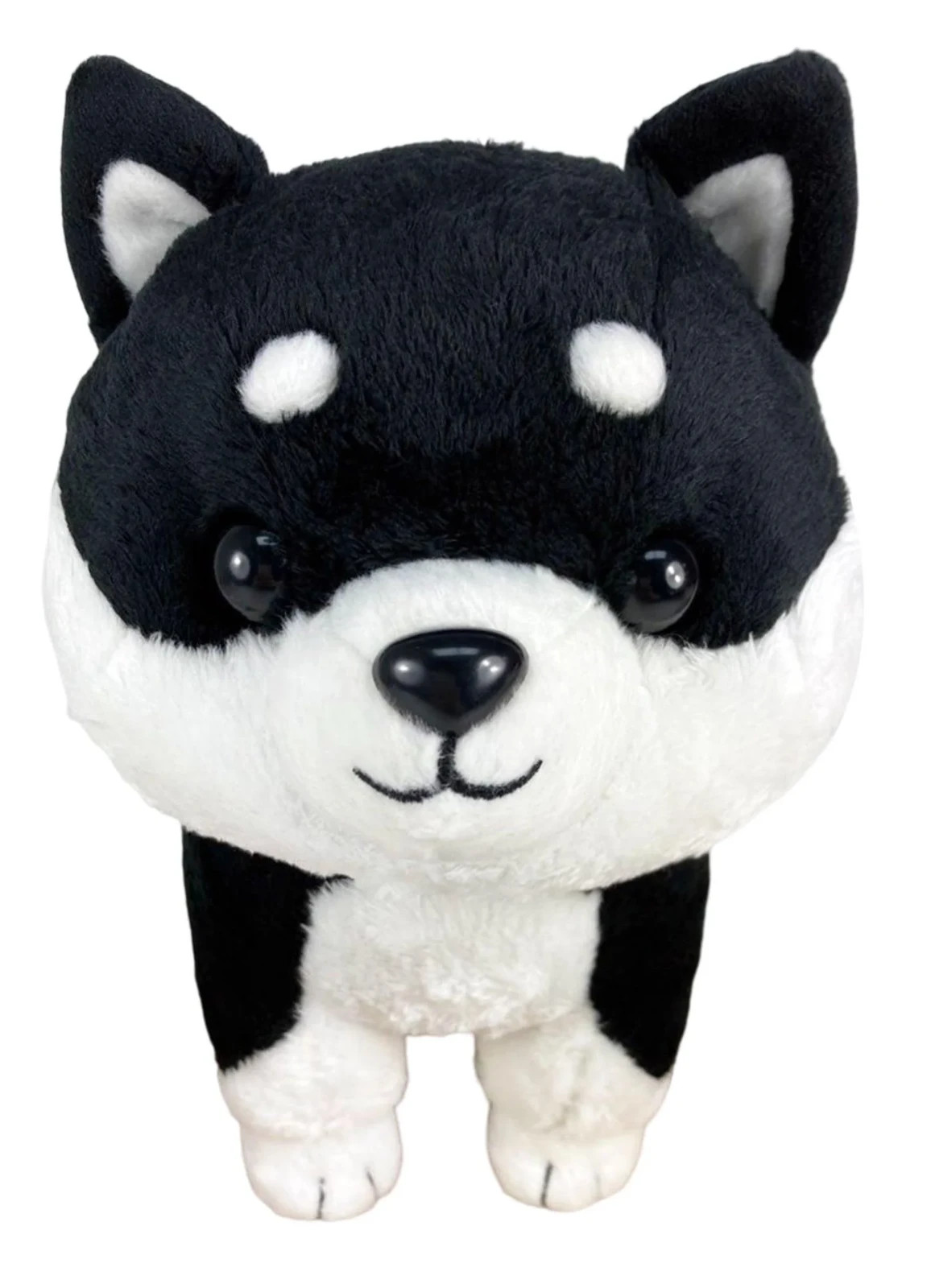 Japanese Black Shiba Inu 10