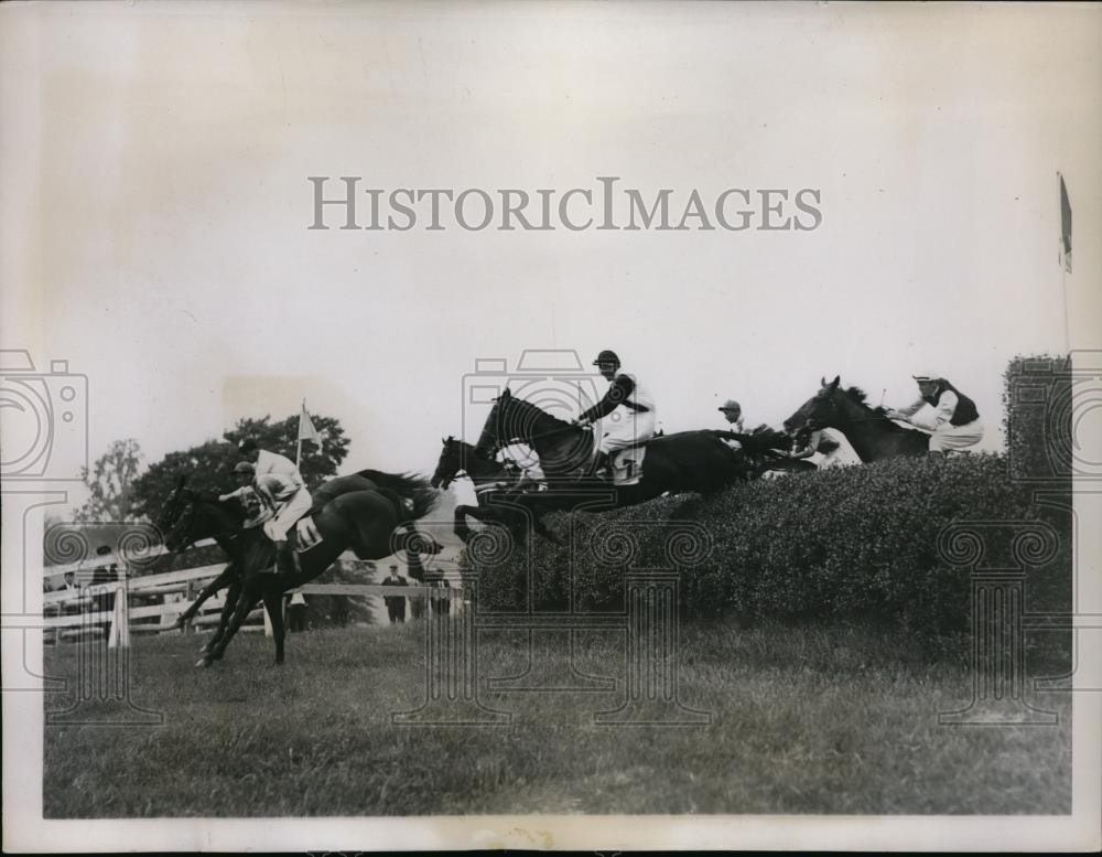 1936 Press Photo competitors at the brush jump, Corinthian Plate Steeplechase