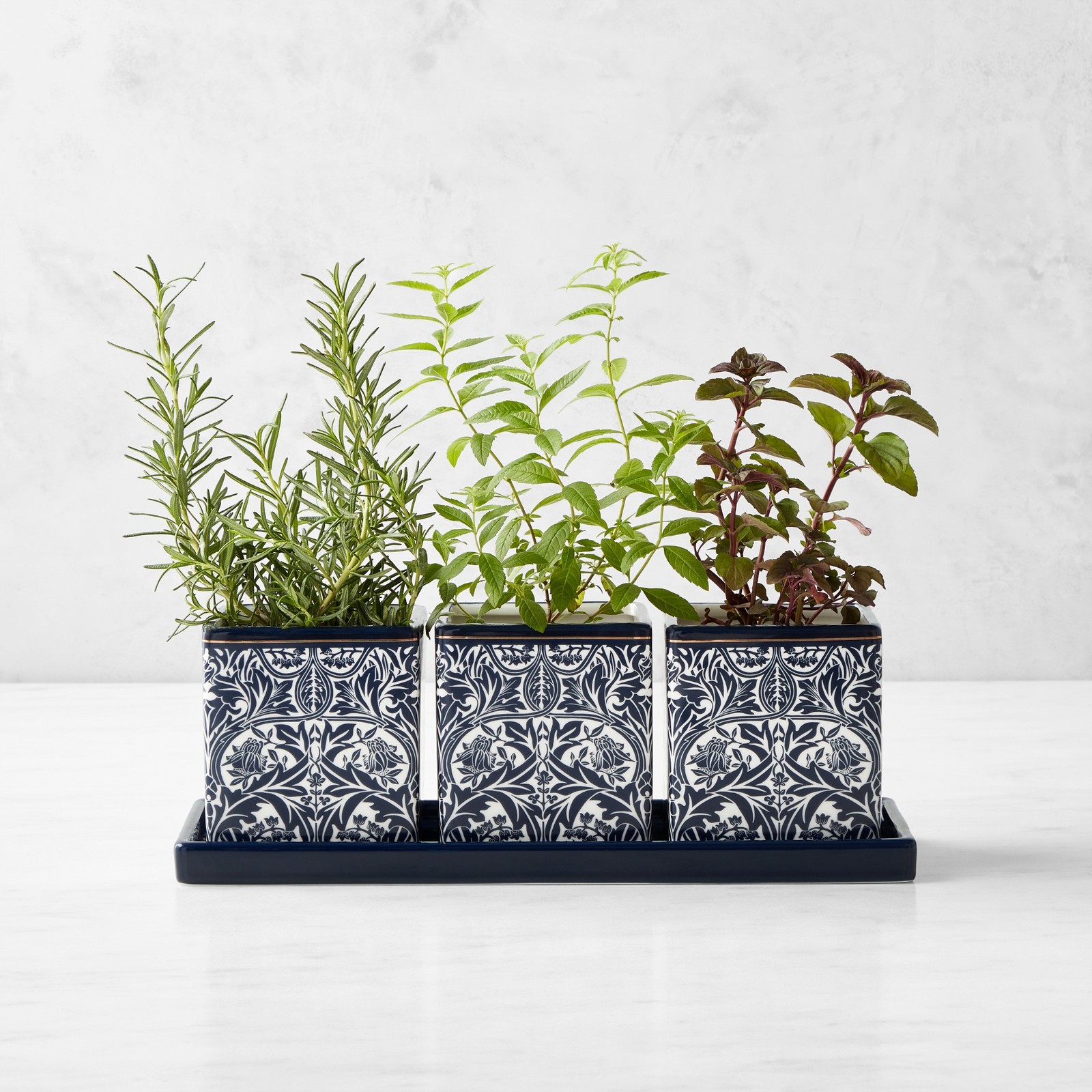 Morris & Co. x Williams Sonoma Bluebell Herb Planter Set - NEW in Box