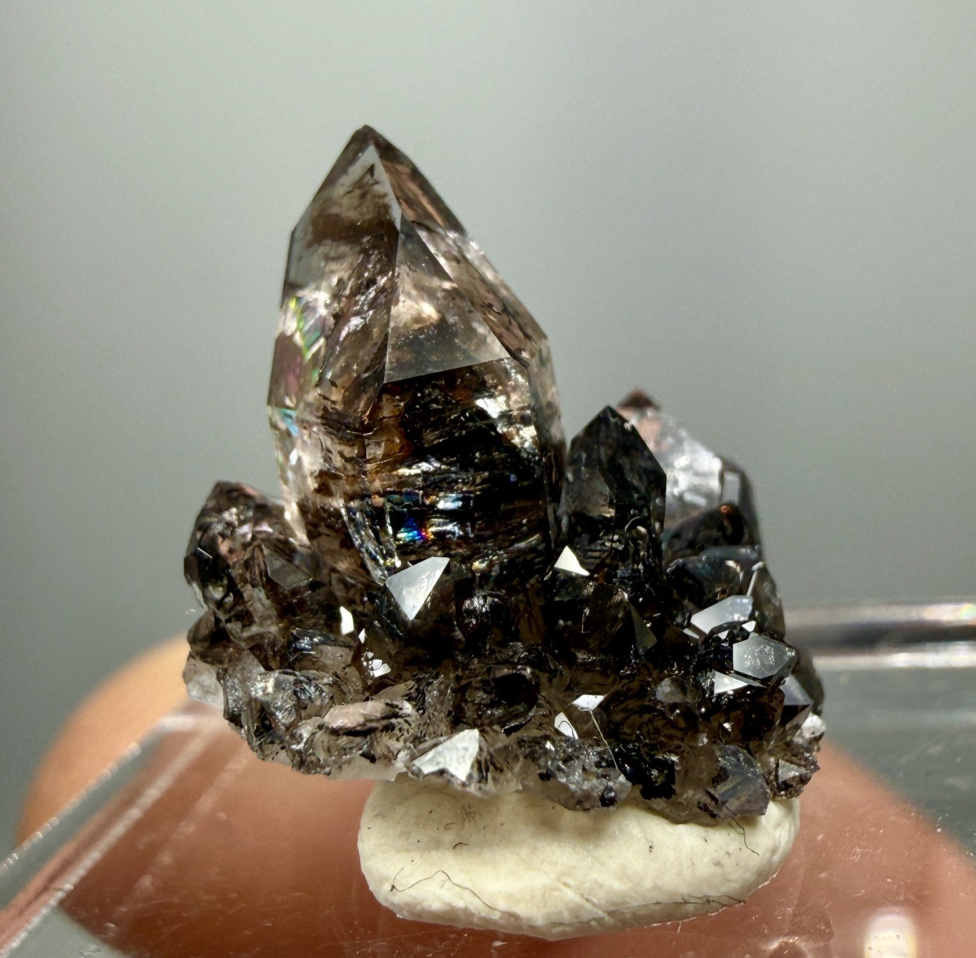 Herkimer Diamond Perched on Rare Black Druze, Gem Points w/ Phantoms