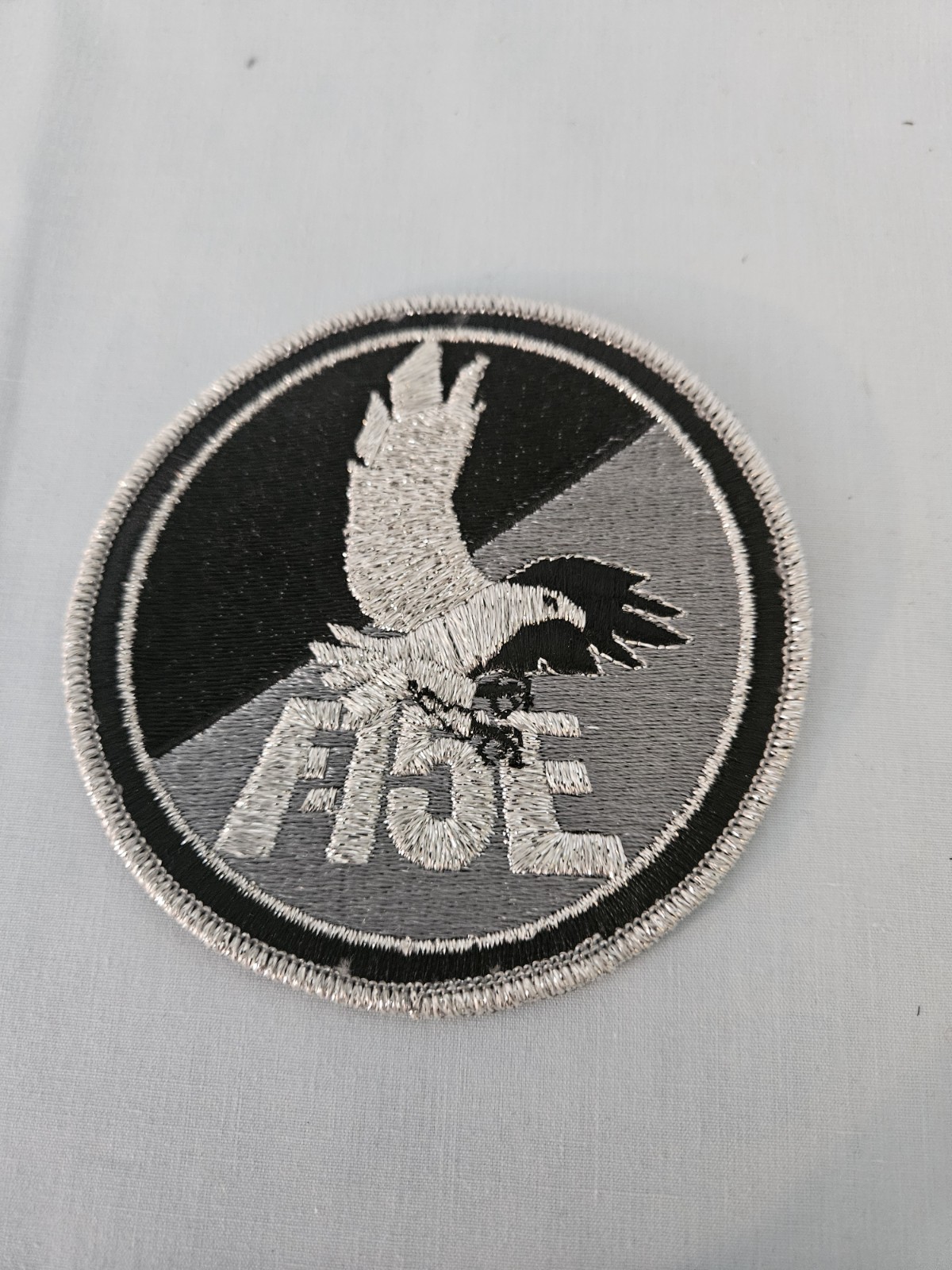 New F-15E Silver And Black 4