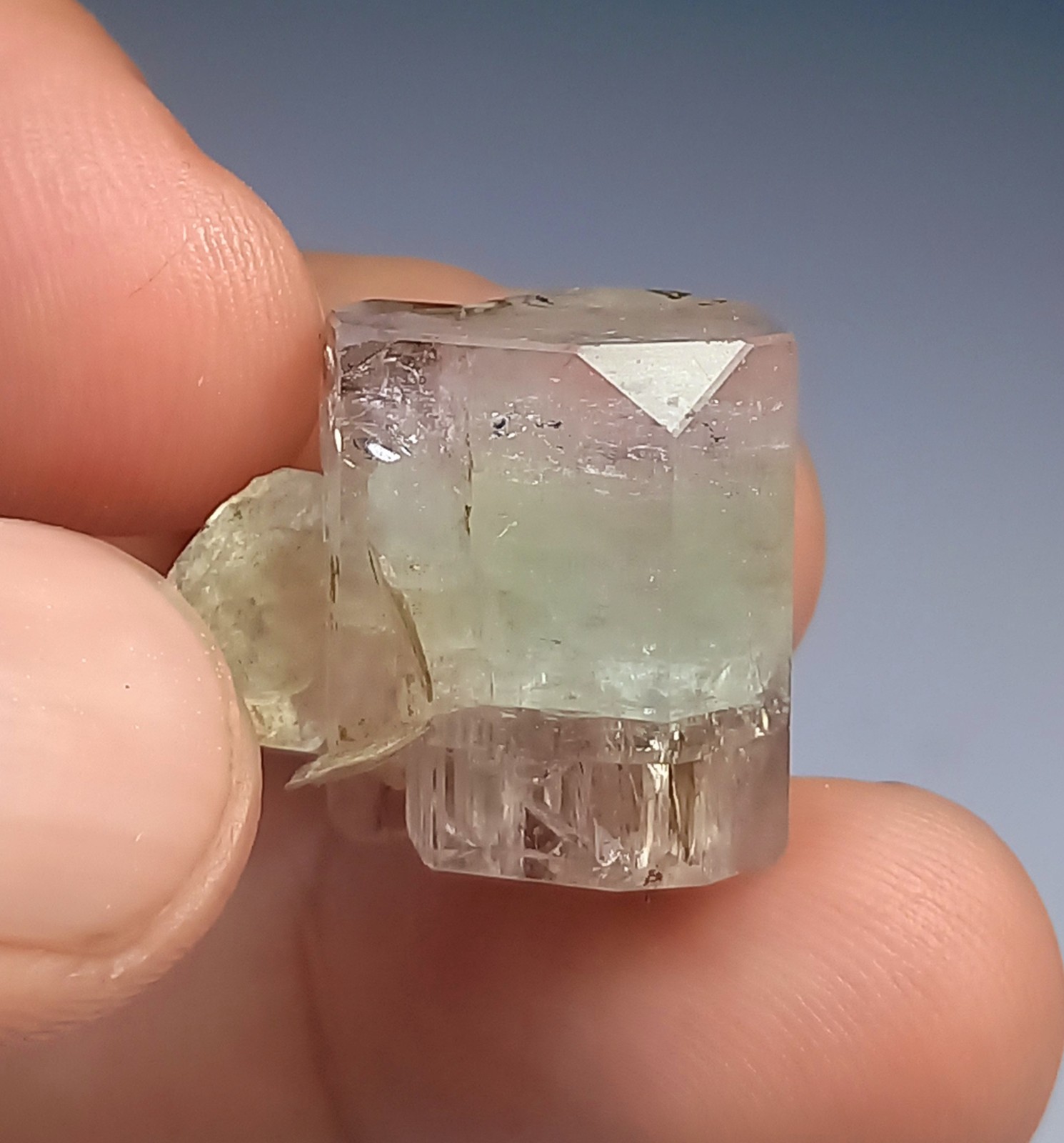 WoW Stunning Rare Bi Color Fluorescent Apatite :07g