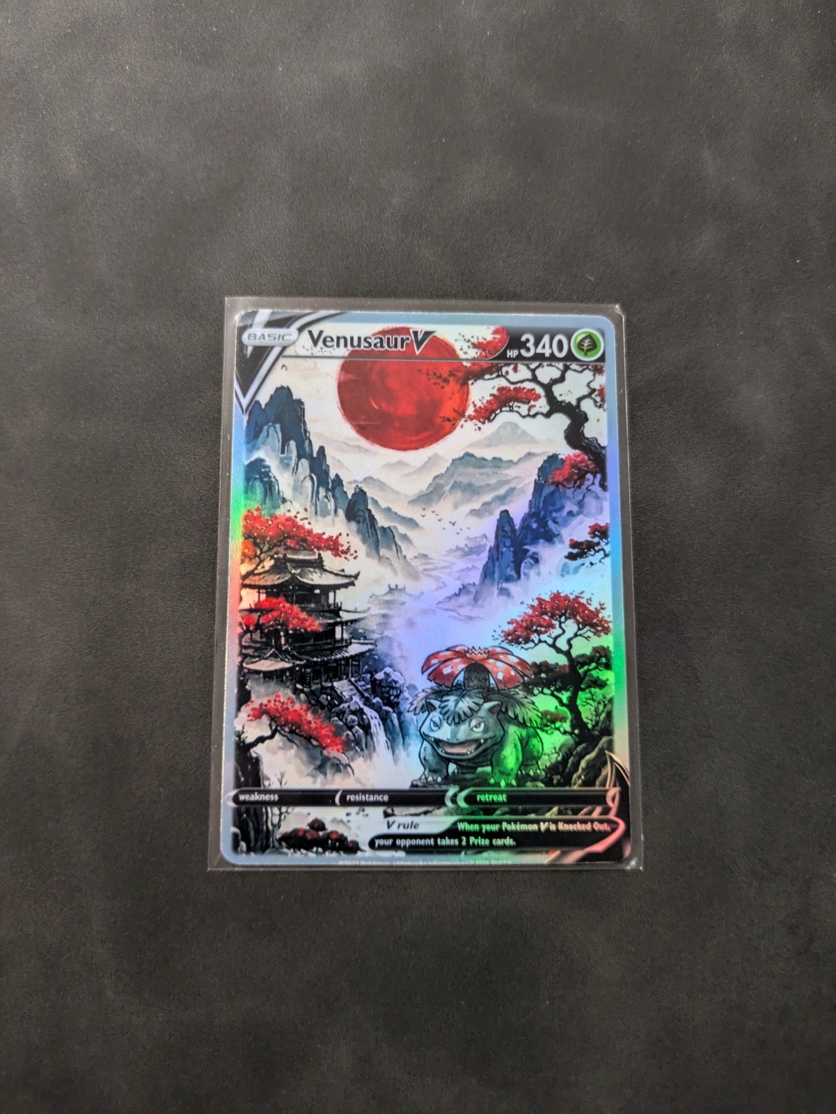 Red Sun Style Venusaur Holographic Display Card