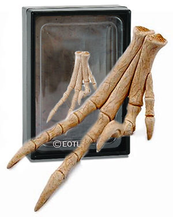 NEW CollectA 89285 Velociraptor Dinosaur Foot 8cm MODEL - display box