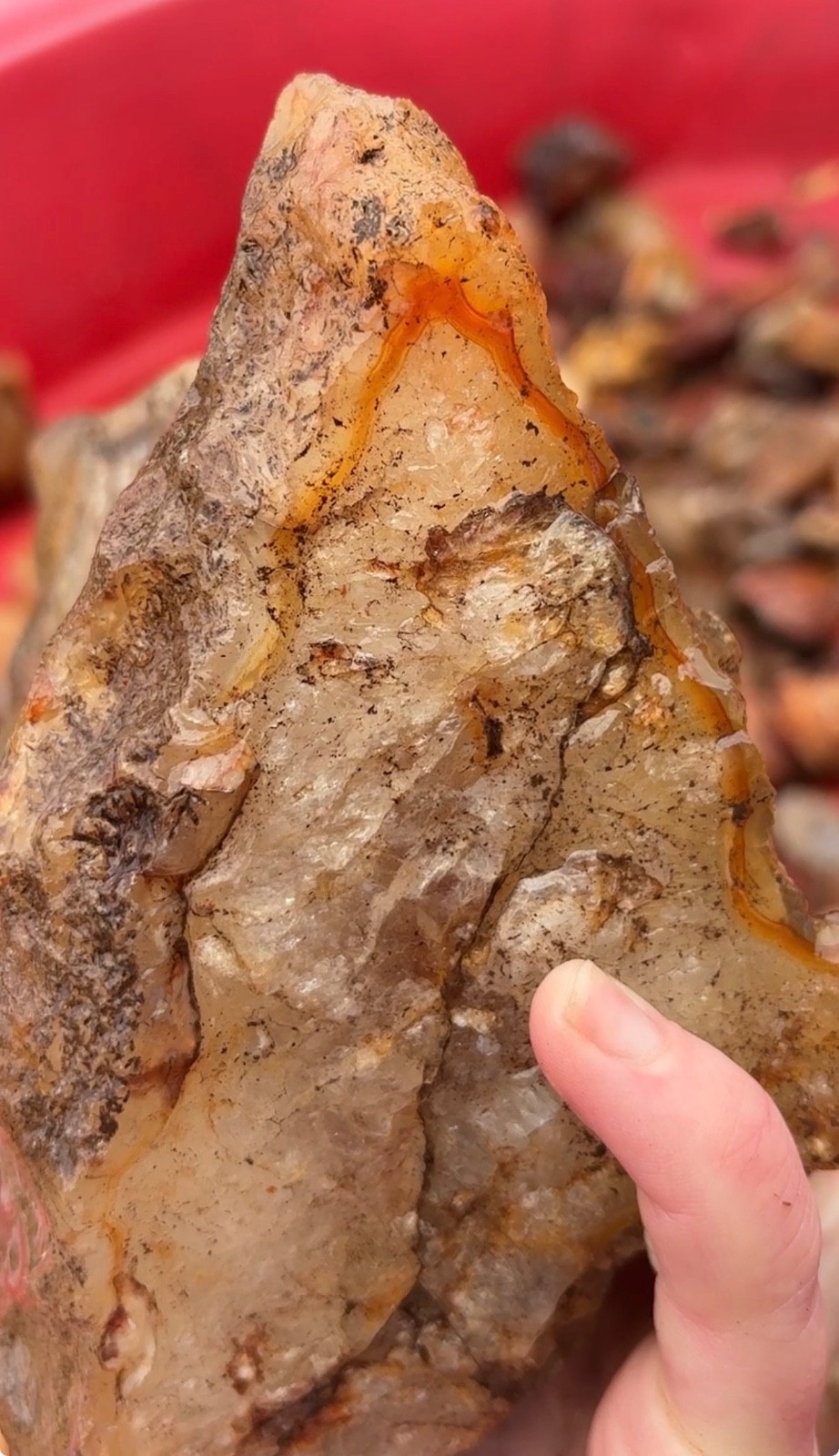 5LB Giant Raw PNW Fortification Agate Huge Quartz Filled Specimen Rock Lapidary