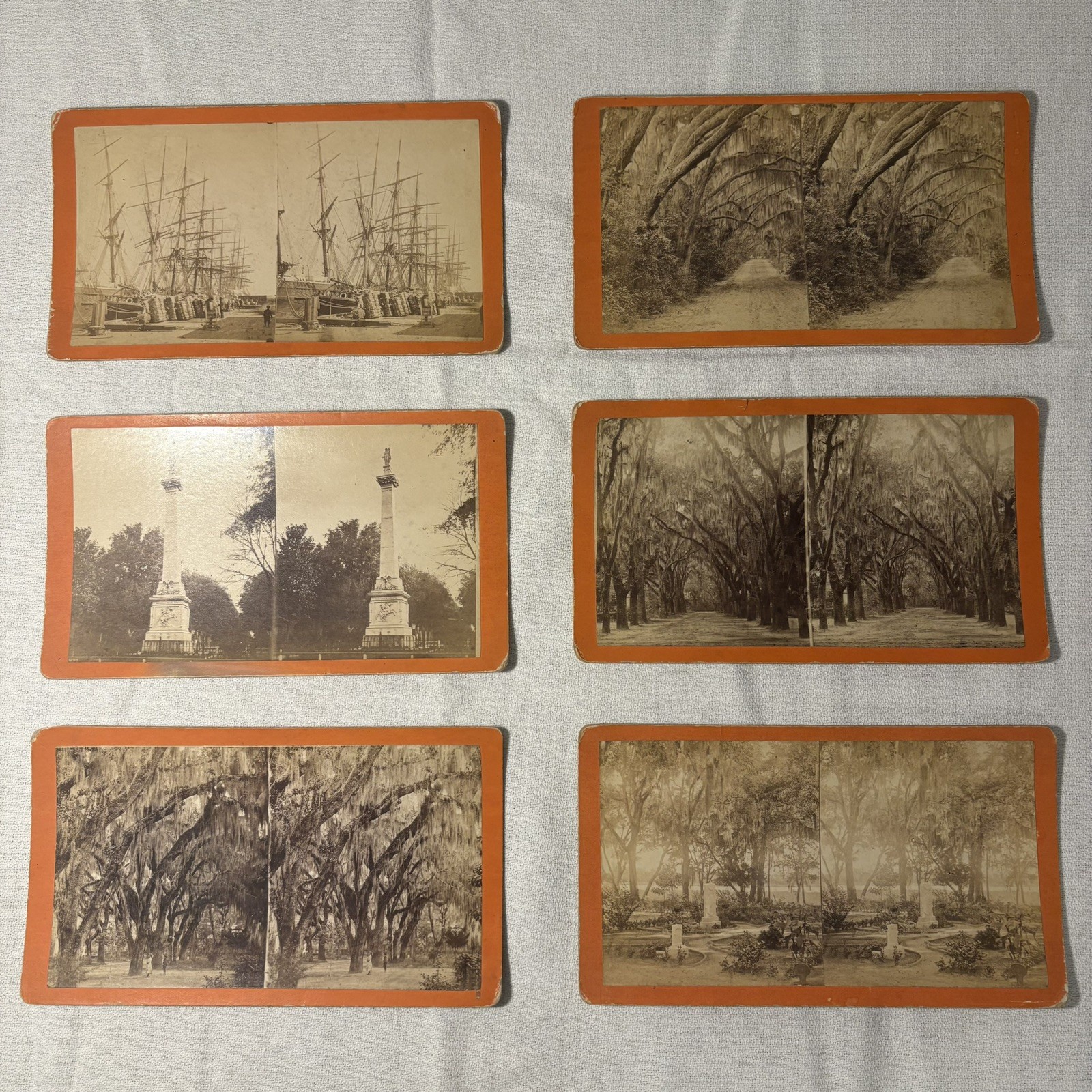 VTG 1870s Lot Of 6 Savannah Georgia Nature Stereoviews Spanish Moss J.N. Wilson