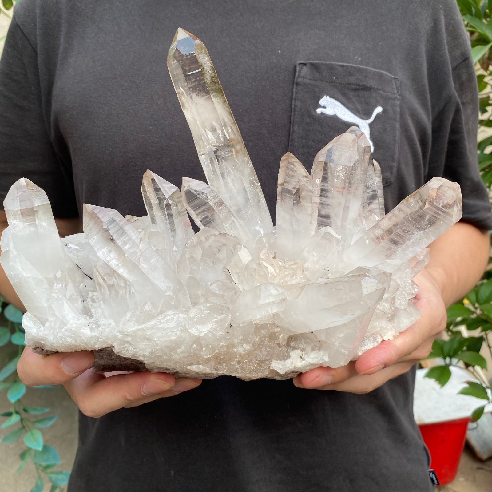 6.5lb Natural Clear White Quartz Crystal Cluster Rough Healing Specimen