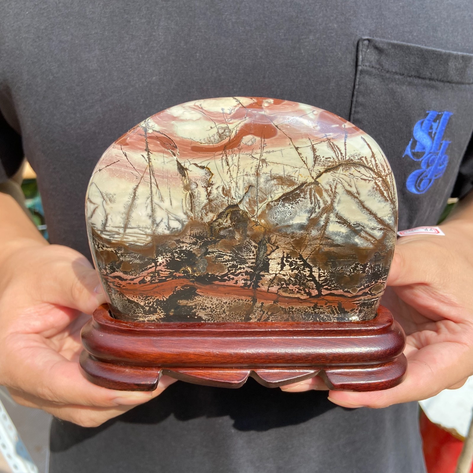 1.5lb Rare Natural Dendritic Limestone Chinese painting stone mineral specimen