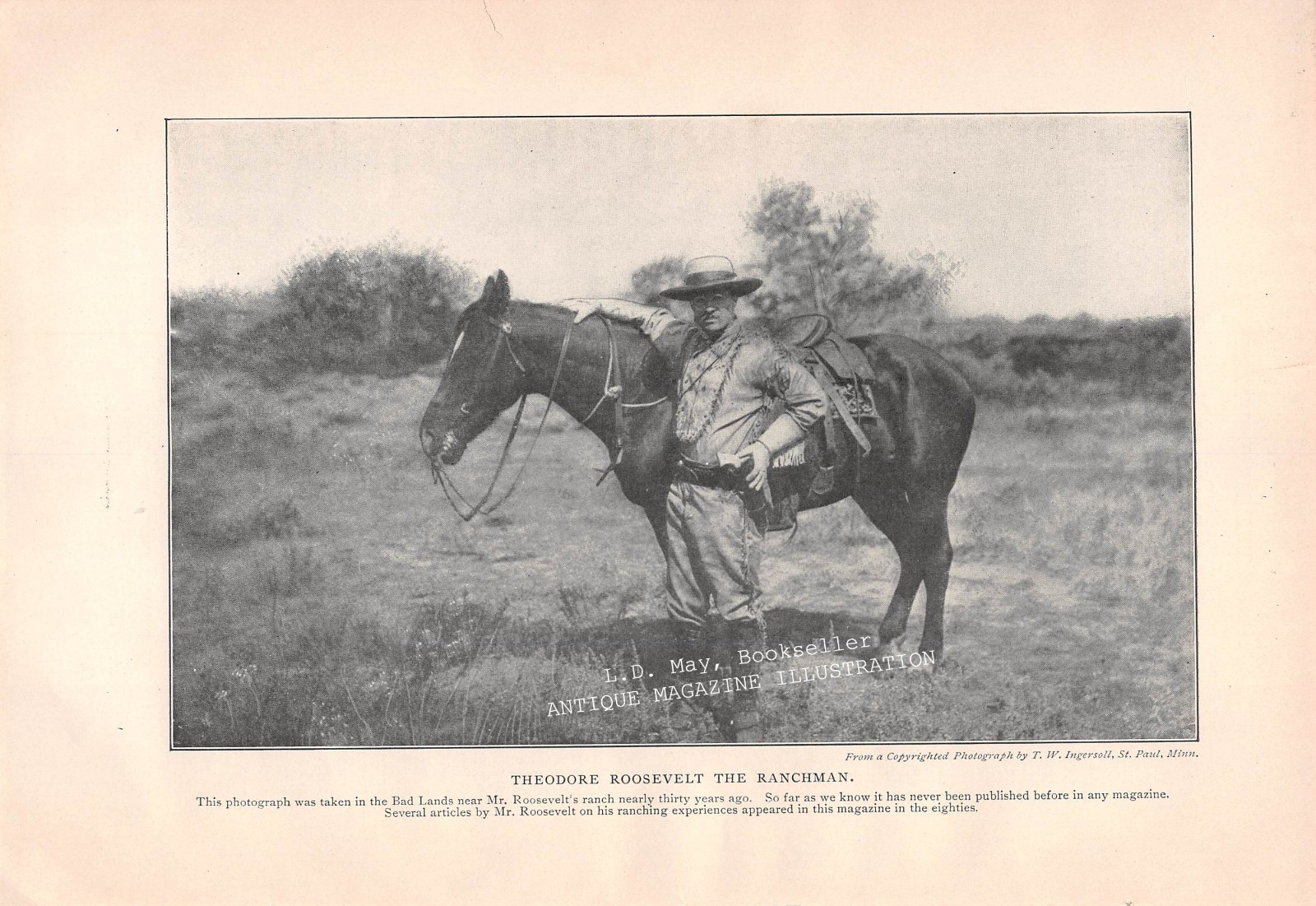 1911 (c1885) THEODORE ROOSEVELT Dakota Badlands Rancher ANTIQUE illustration
