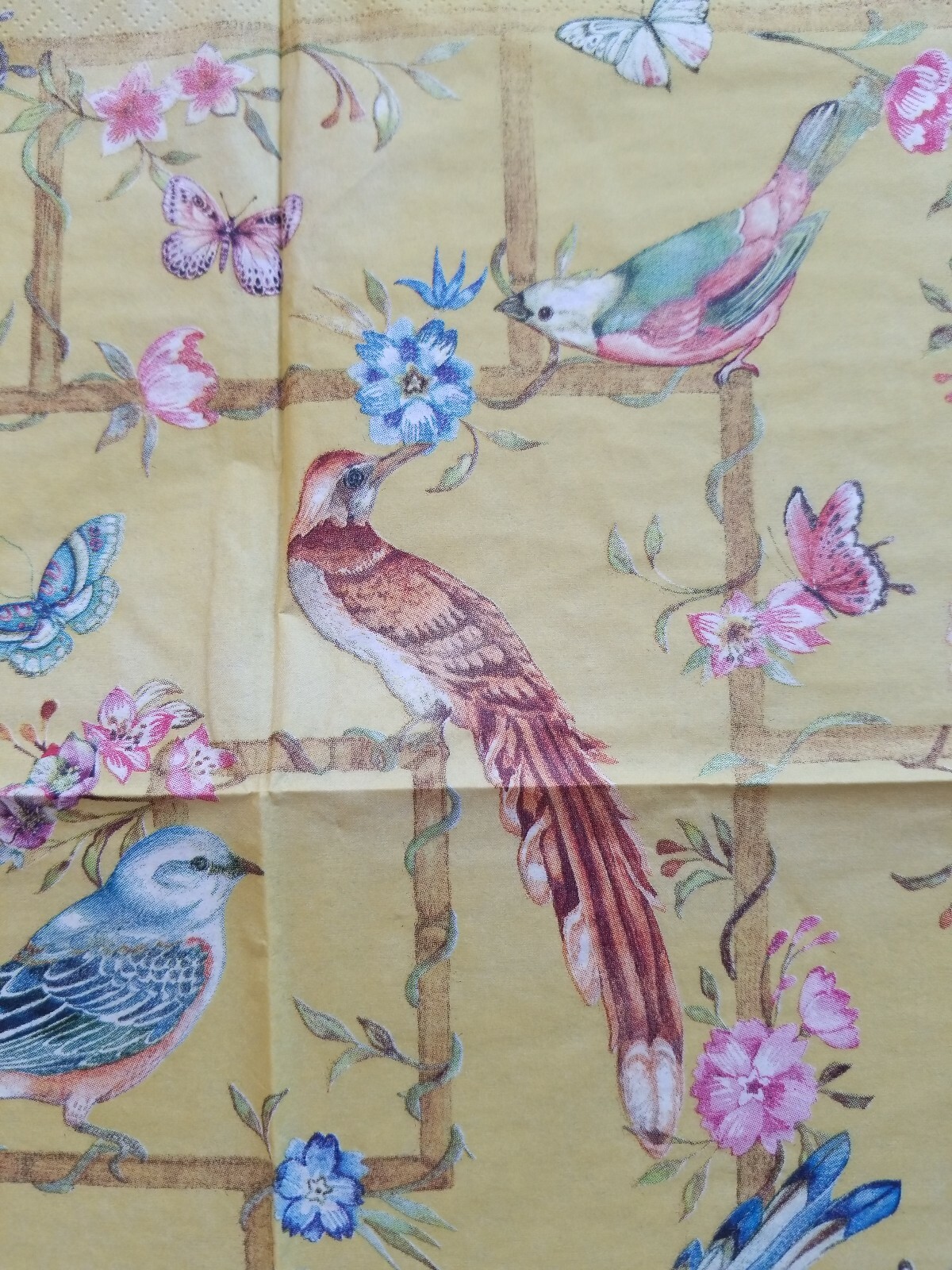 TWO Individual Napkins Birds Chinese Garden Lunch for Decoupage (998)