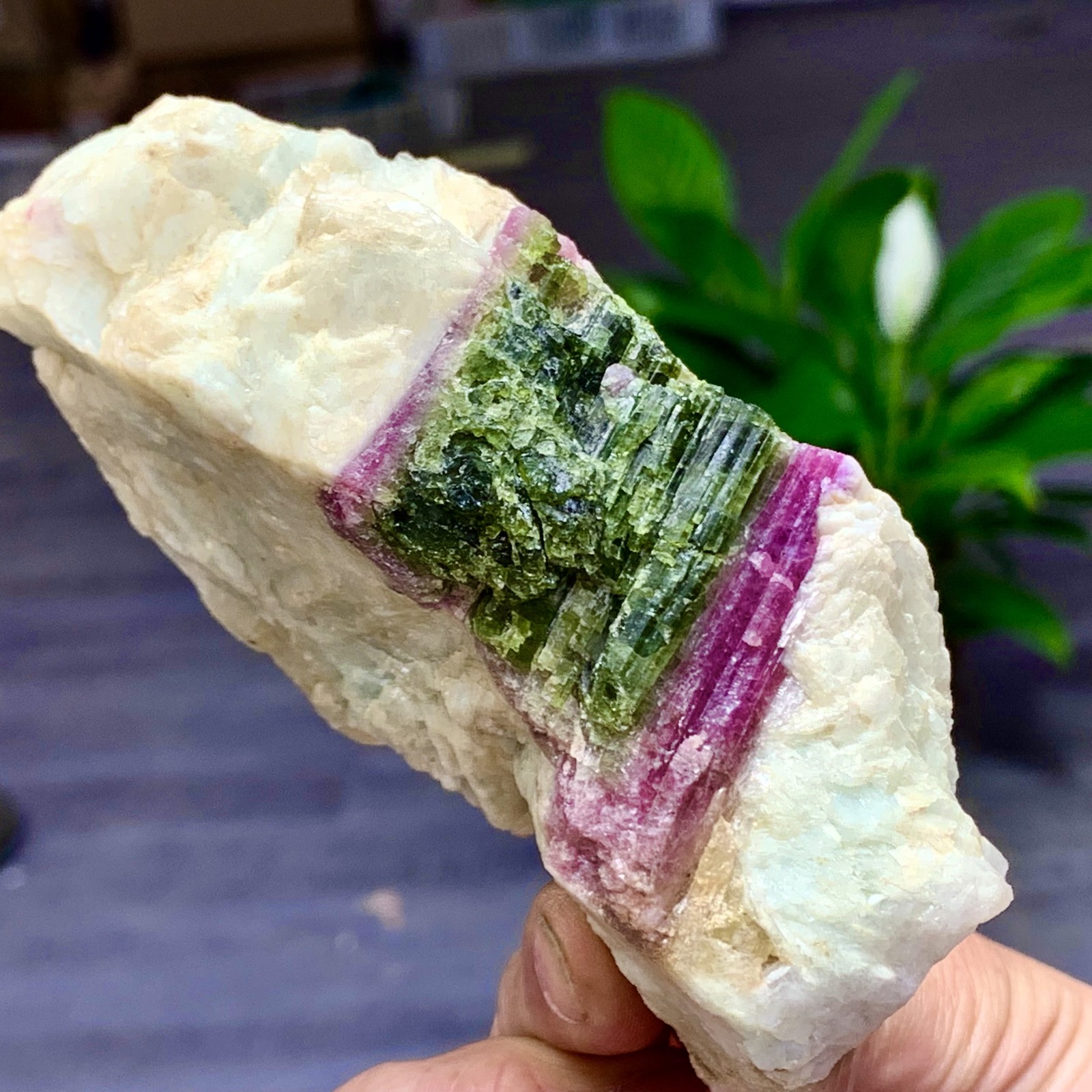 310G Rare Transparent Purple Green Cubic Fluorite Mineral Crystal Sample