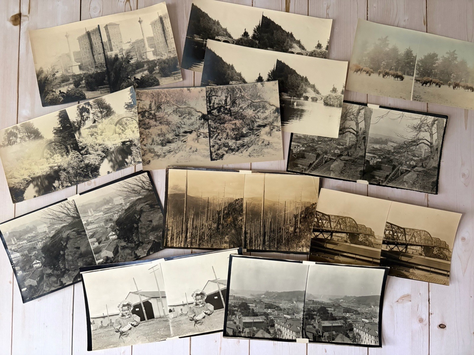 11 Antique Unmounted Stereoview Photos Oregon Locations San Francisco Cities