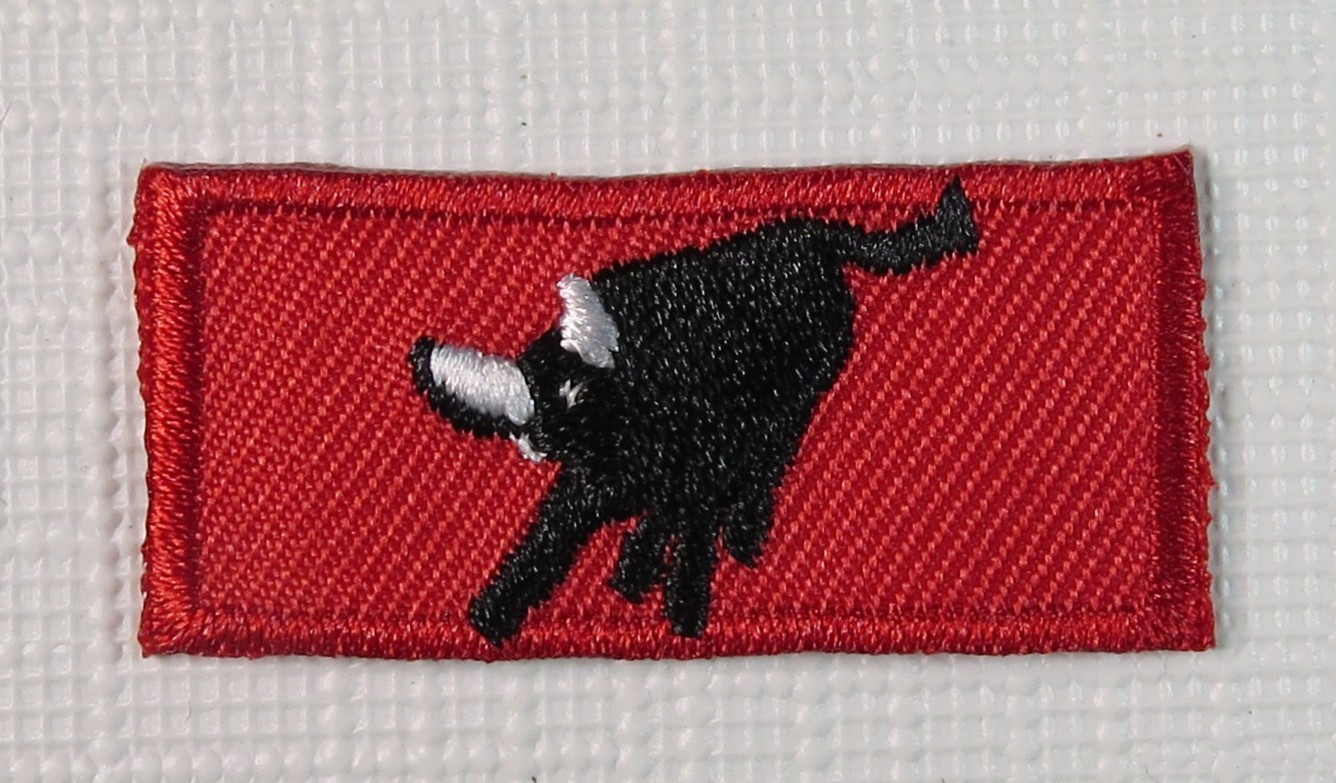 Philmont Scout Ranch Adult Leader Knot Patch Boy Scout Scouting America Spoof