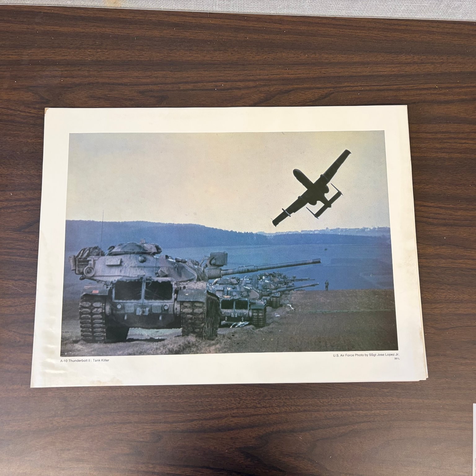 A-10 Thunderbolt II Tank Killer US Air Force Military Aircraft Photo Print 381L