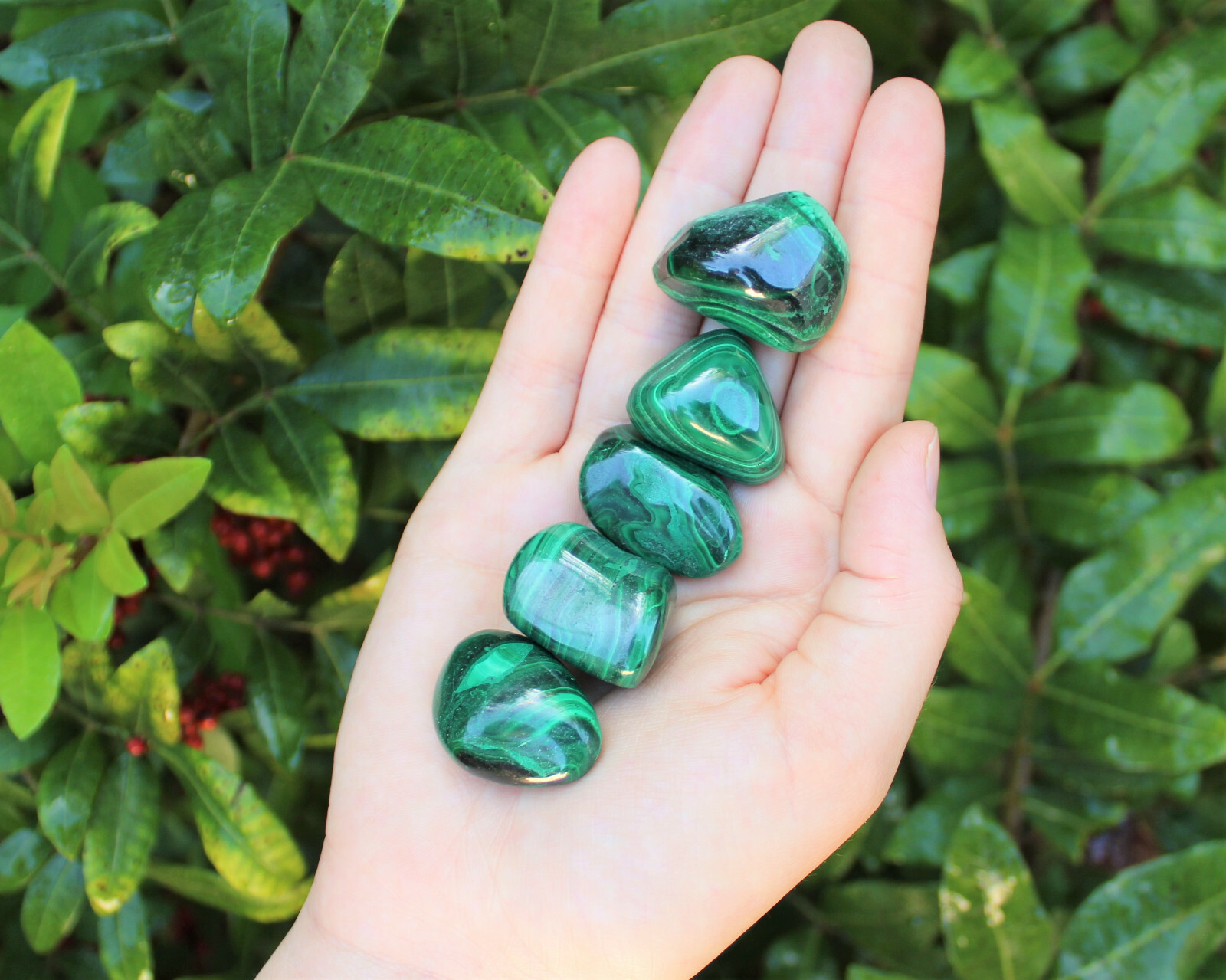 5 Malachite Tumbled Stones: 'A' Grade Natural Polished Crystals