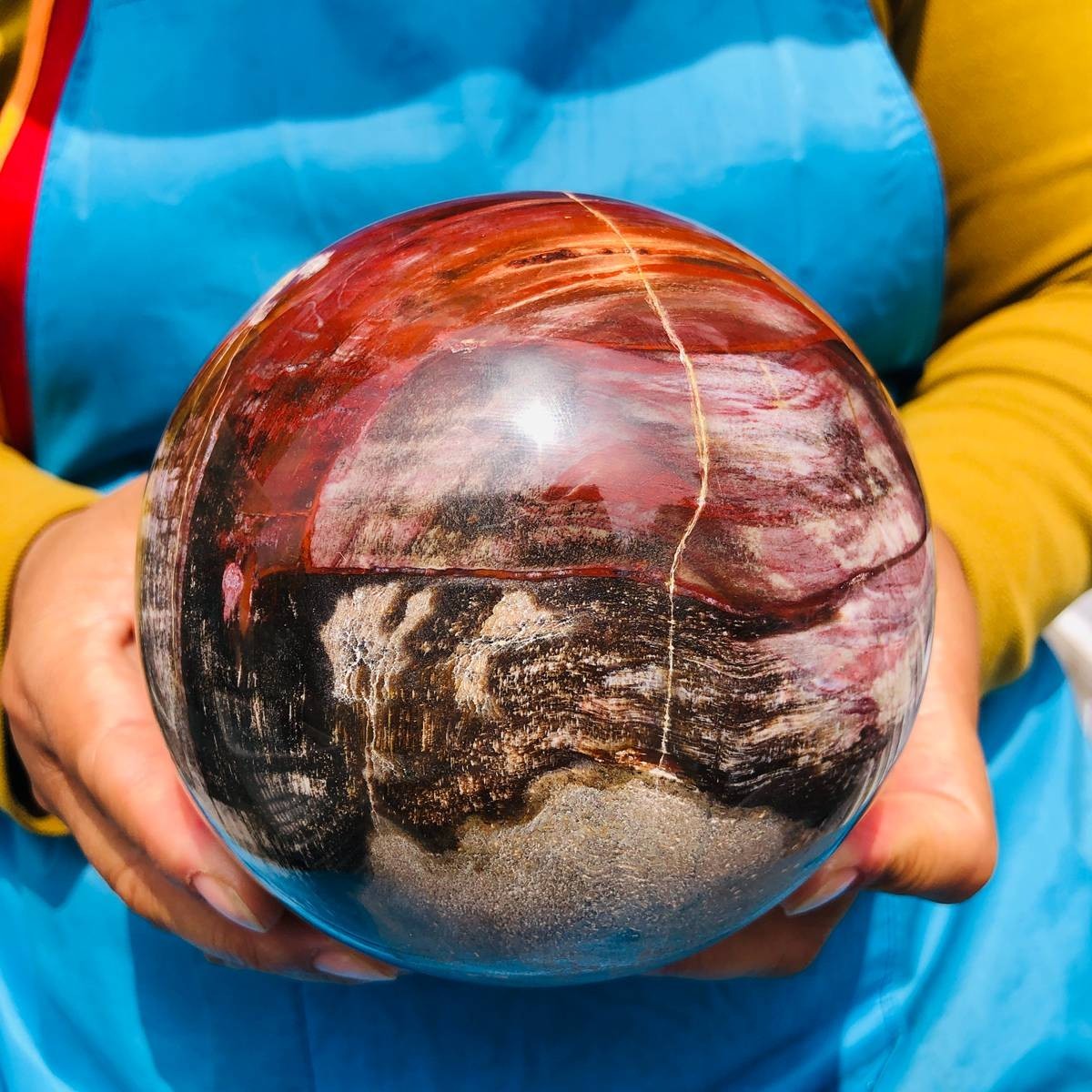 5.06 LB Large Natural Petrified Wood Agate Sphere Crystal Healing Specimen 4705