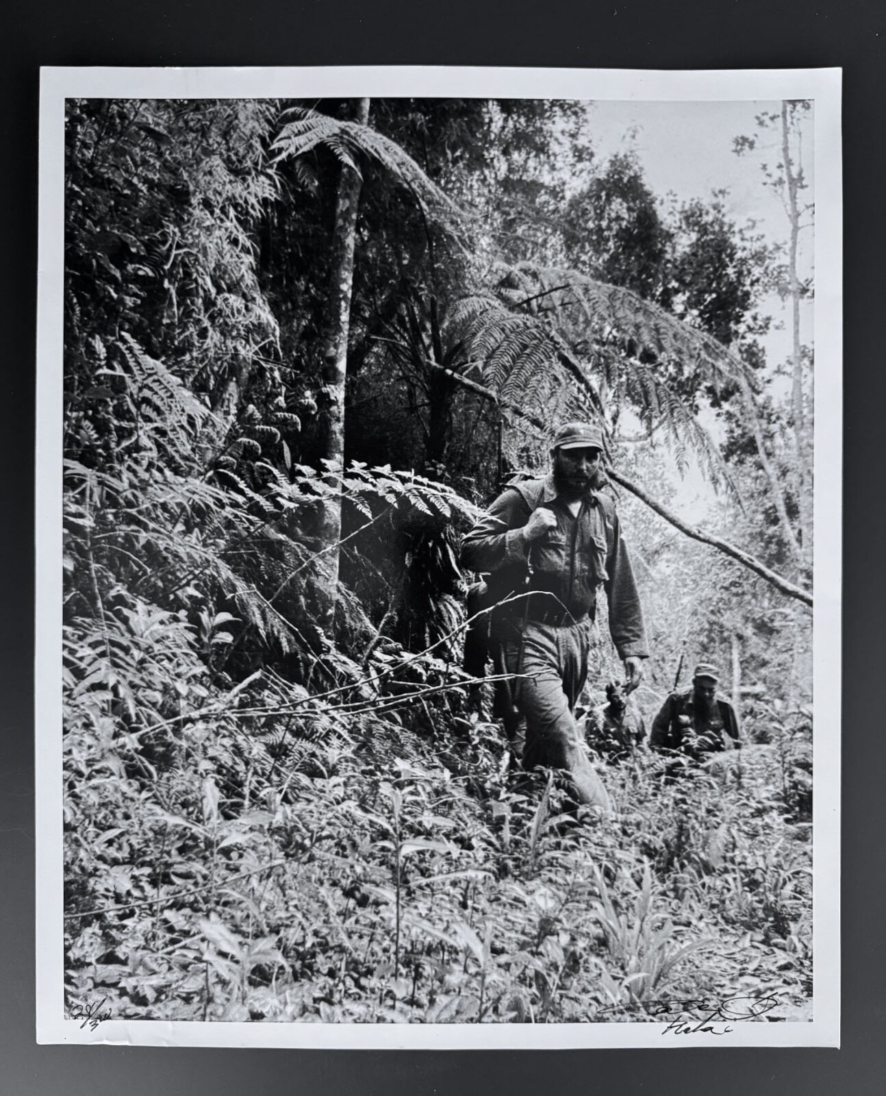 Fidel Castro in the Sierra Maestra – Iconic Jungle Portrait by Korda