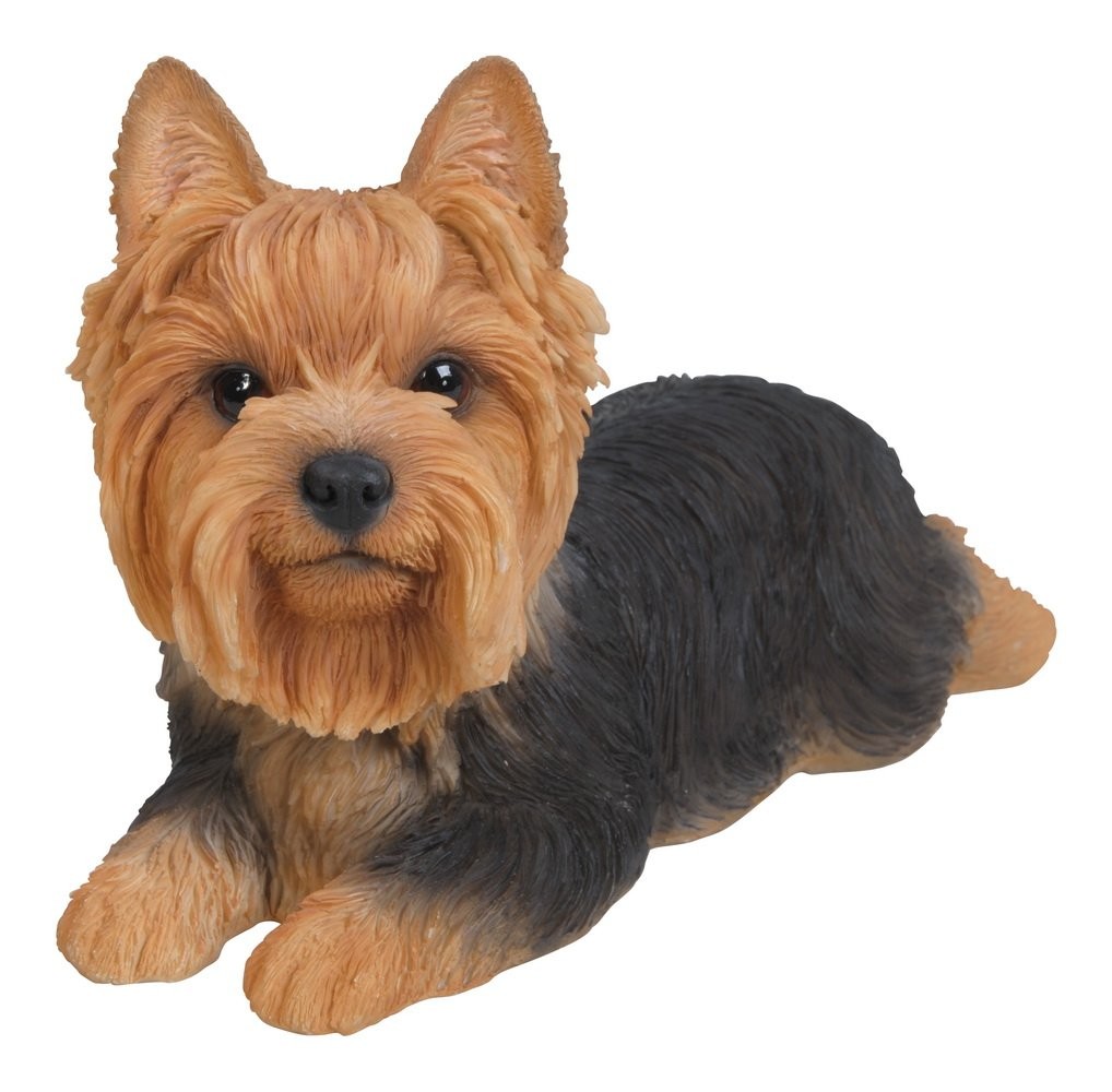 Hi-Line Gift Ltd Hi Line Gift Yorkshire Terrier Resin Dog Lying Down Statue