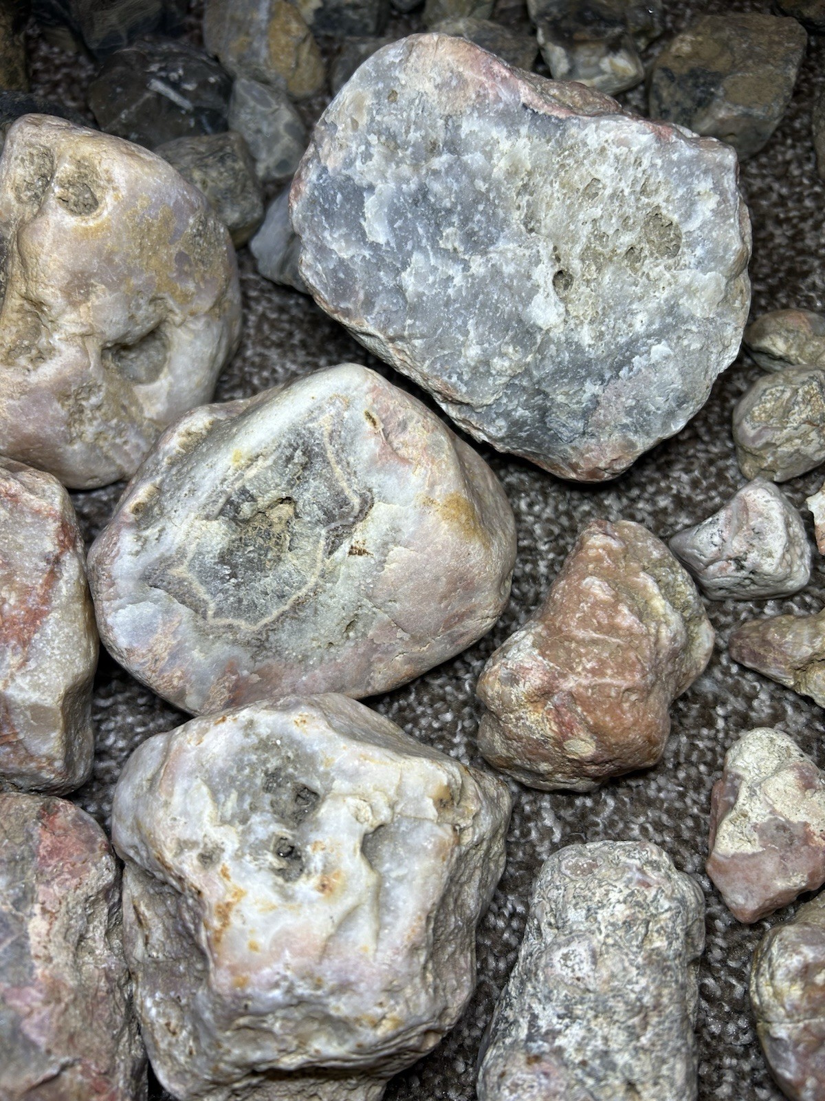 HUGE Lot Lake Superior & Other Agate Collection 25lbs