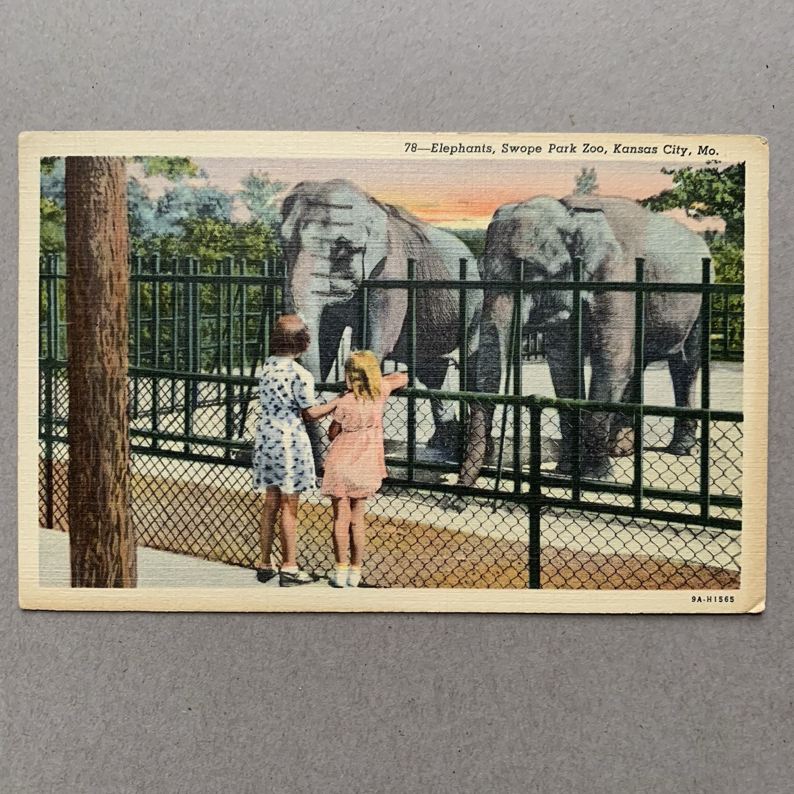 Elephants Swope Park Zoo Kansas City Missouri MO Children Posted 1941 Postcard