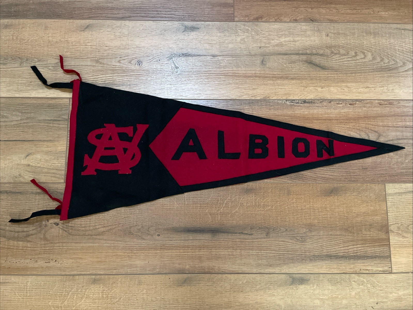 Vintage Albion State Normal School Idaho Pennant Flag Idaho College Very Rare