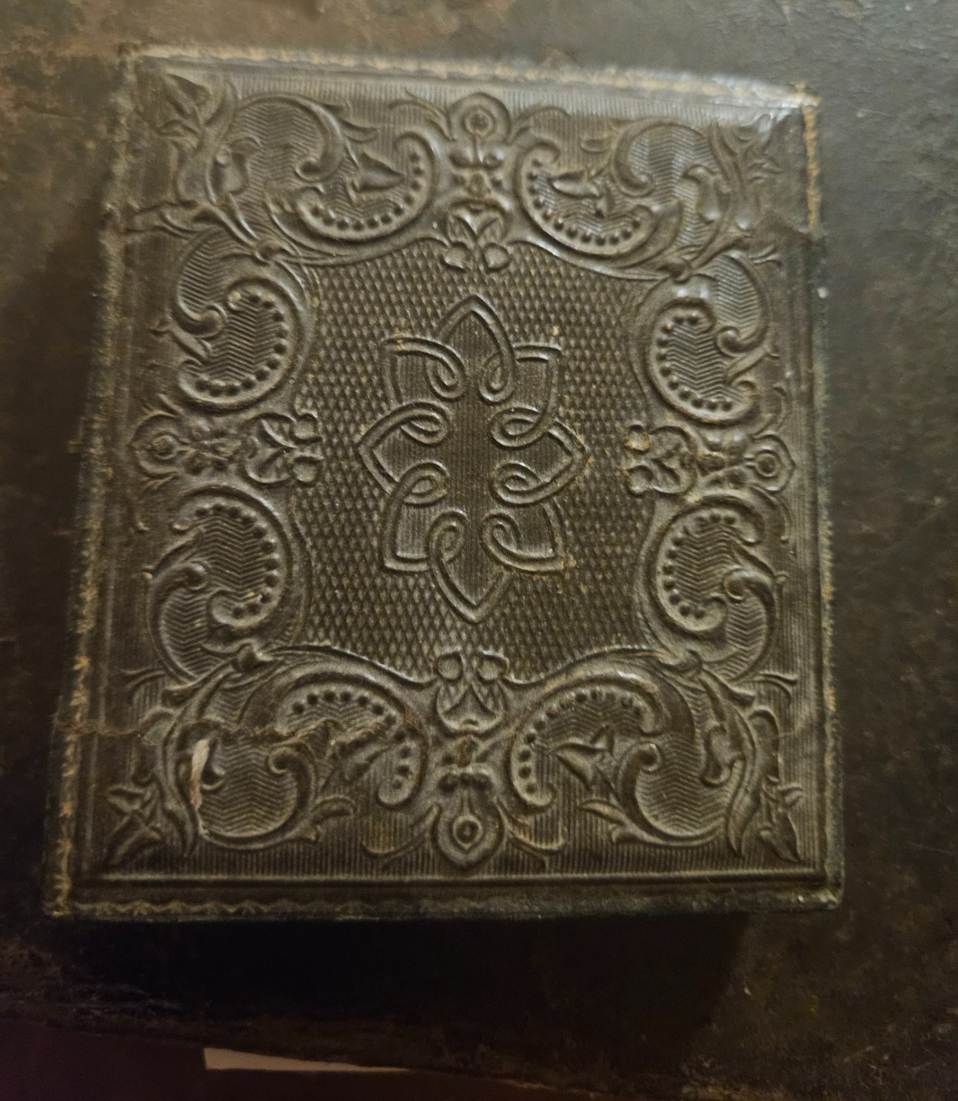 1850s 1/6 Ambrotype Louisa Dunbar ID Note DAR Rev War John Dunbar Hotchkiss Case