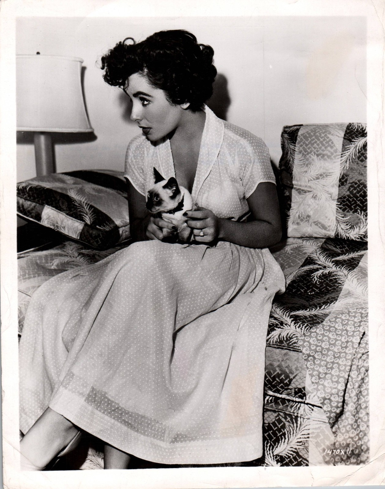 HOLLYWOOD ELIZABETH TAYLOR BEHIND SCENES IN SET 1950s PORTRAIT ORIG PHOTO MA80