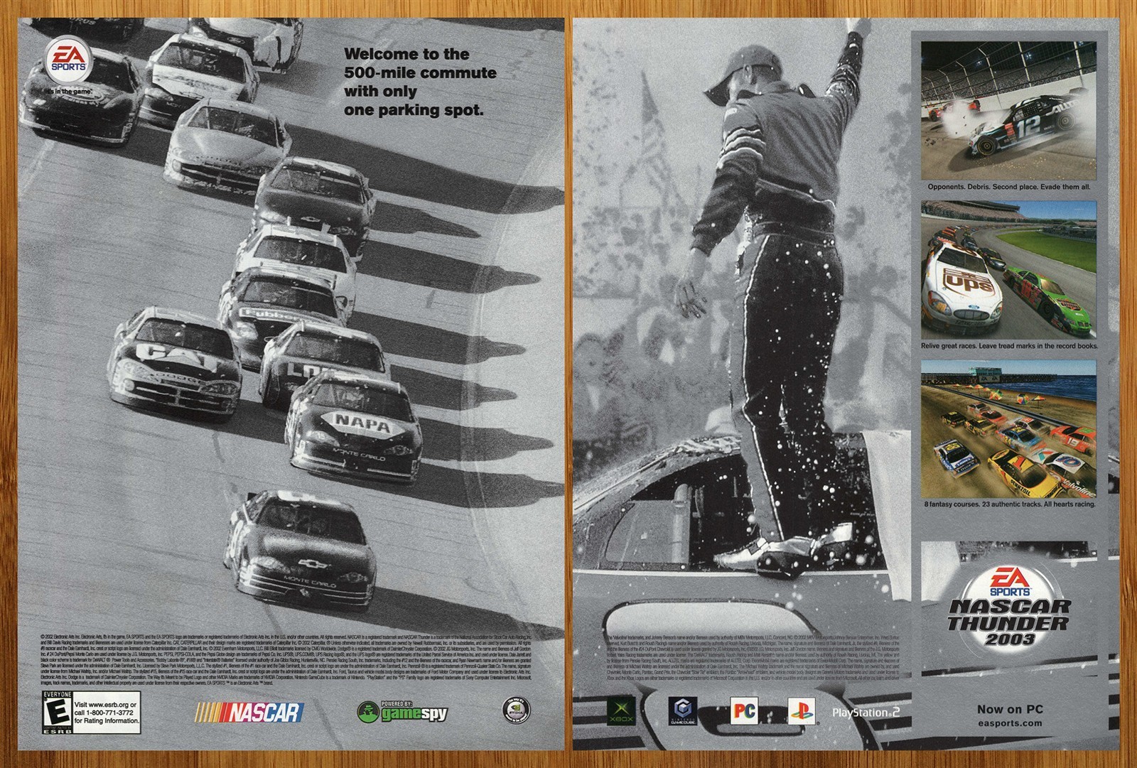2002 NASCAR Thunder 2003 PS2 Xbox Gamecube Print Ad/Poster Official Promo Art