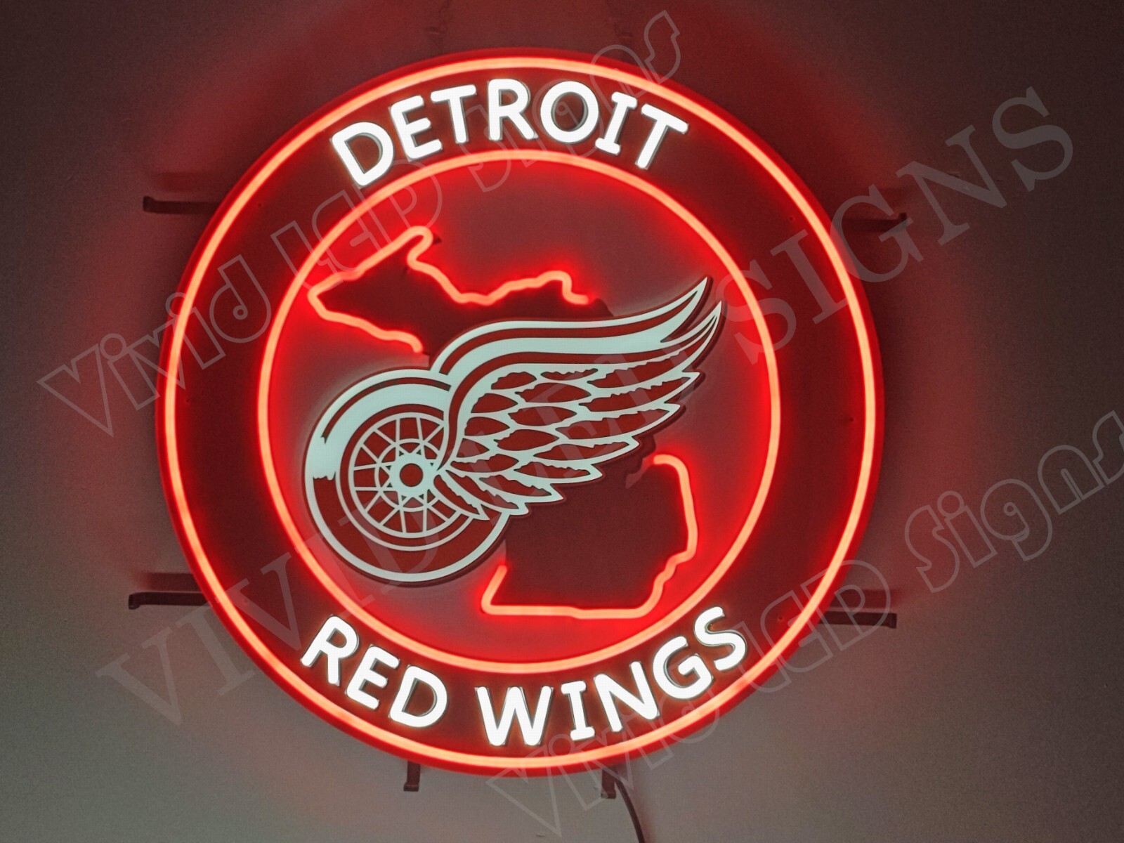 Detroit Red Wings Ice Hockey 24